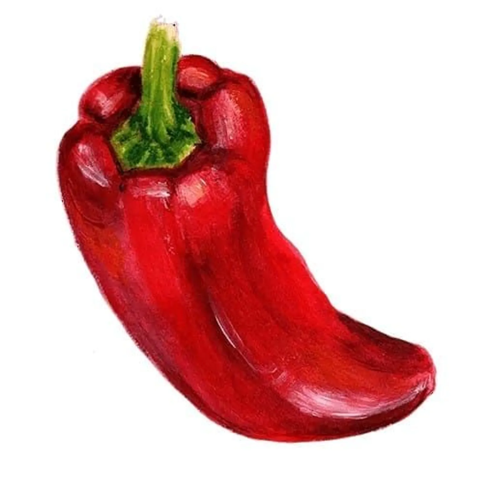 Paprika 'Corno Rosso', Frö