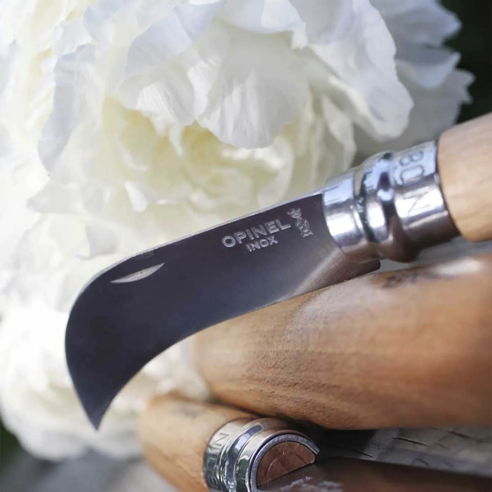 Närbild av Opinel N08 beskärningskniv med böjt rostfritt stål blad och trähandtag mot vit blombackgrund