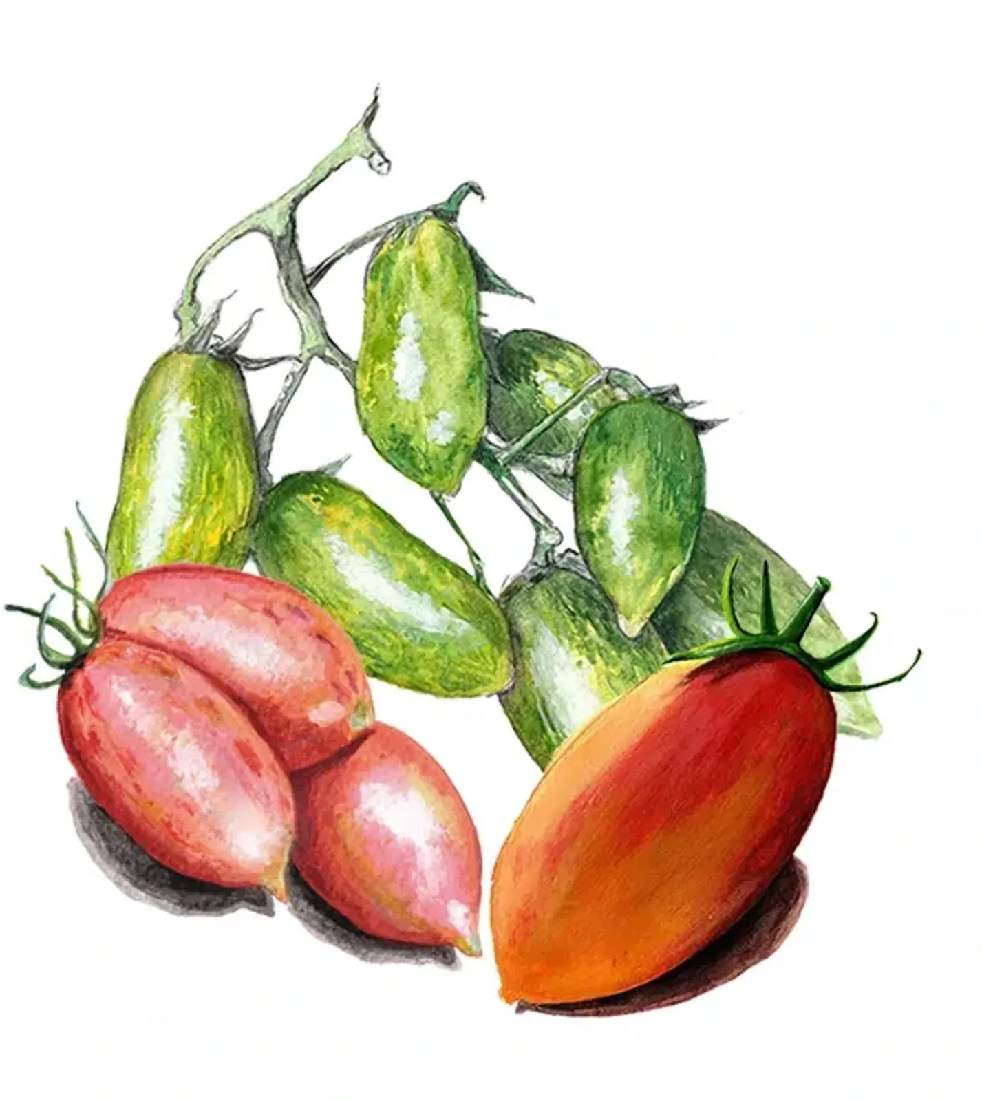 Plommontomat 'Artisan Mix', frö