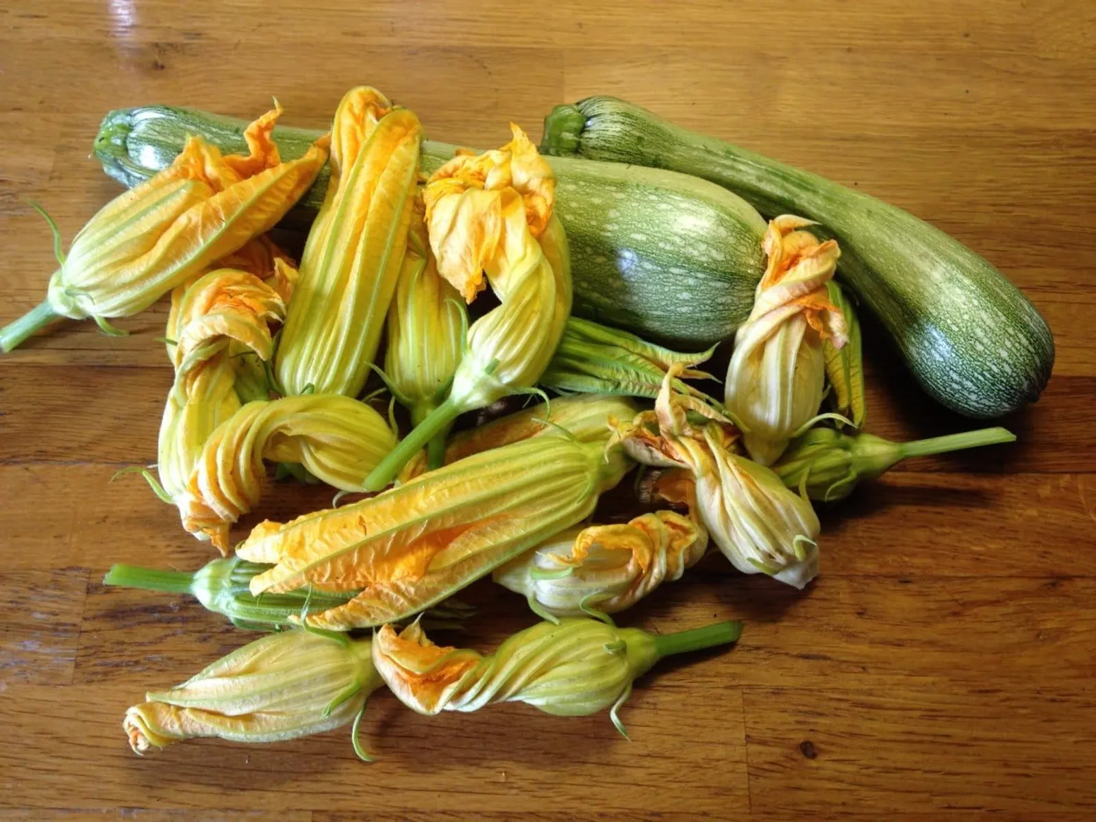 Ortolana di Faenza sommarsquash frö med sommarsquash