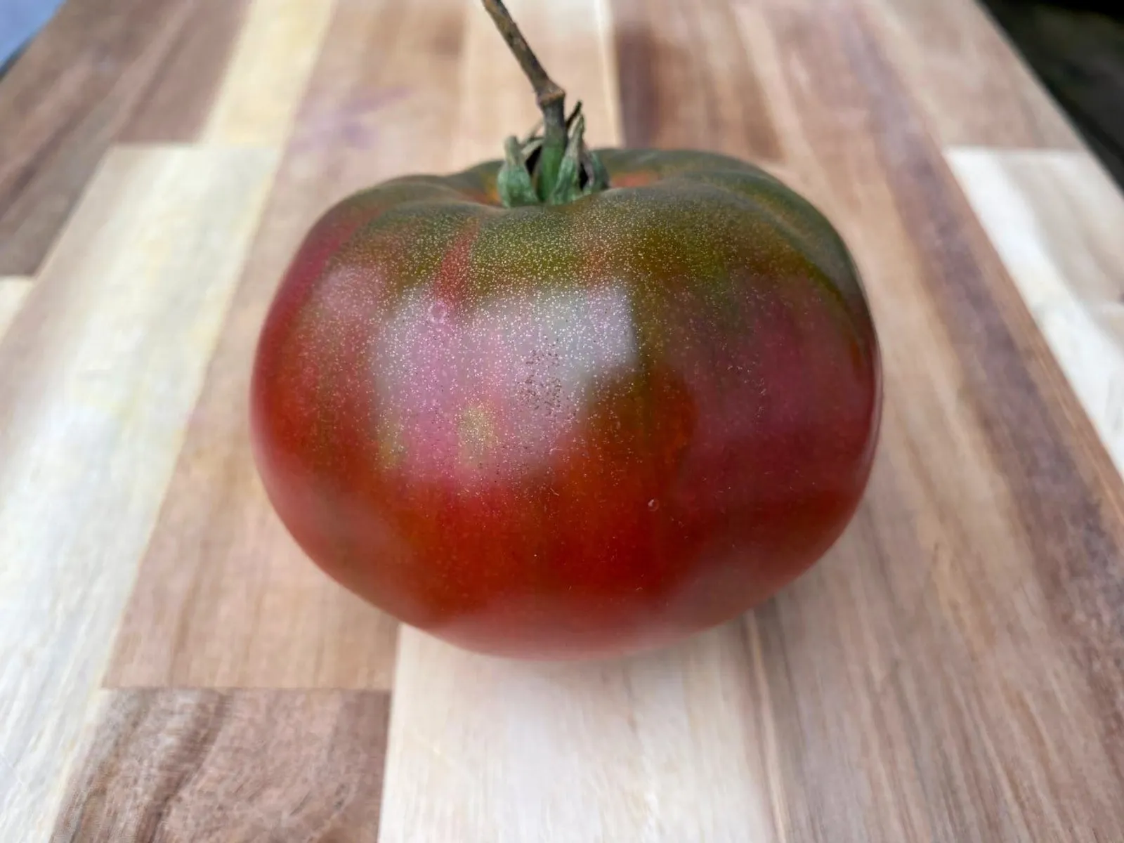 Tomat, högväxande 'Cherokee Purple', ekofrö