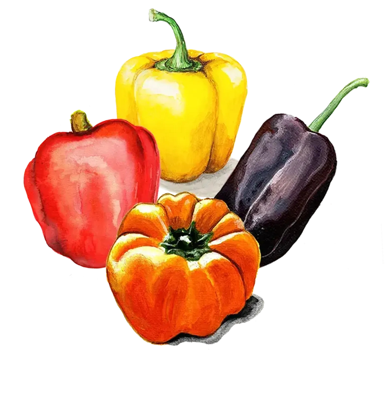 Paprika 'Paprikor Mix', Frö