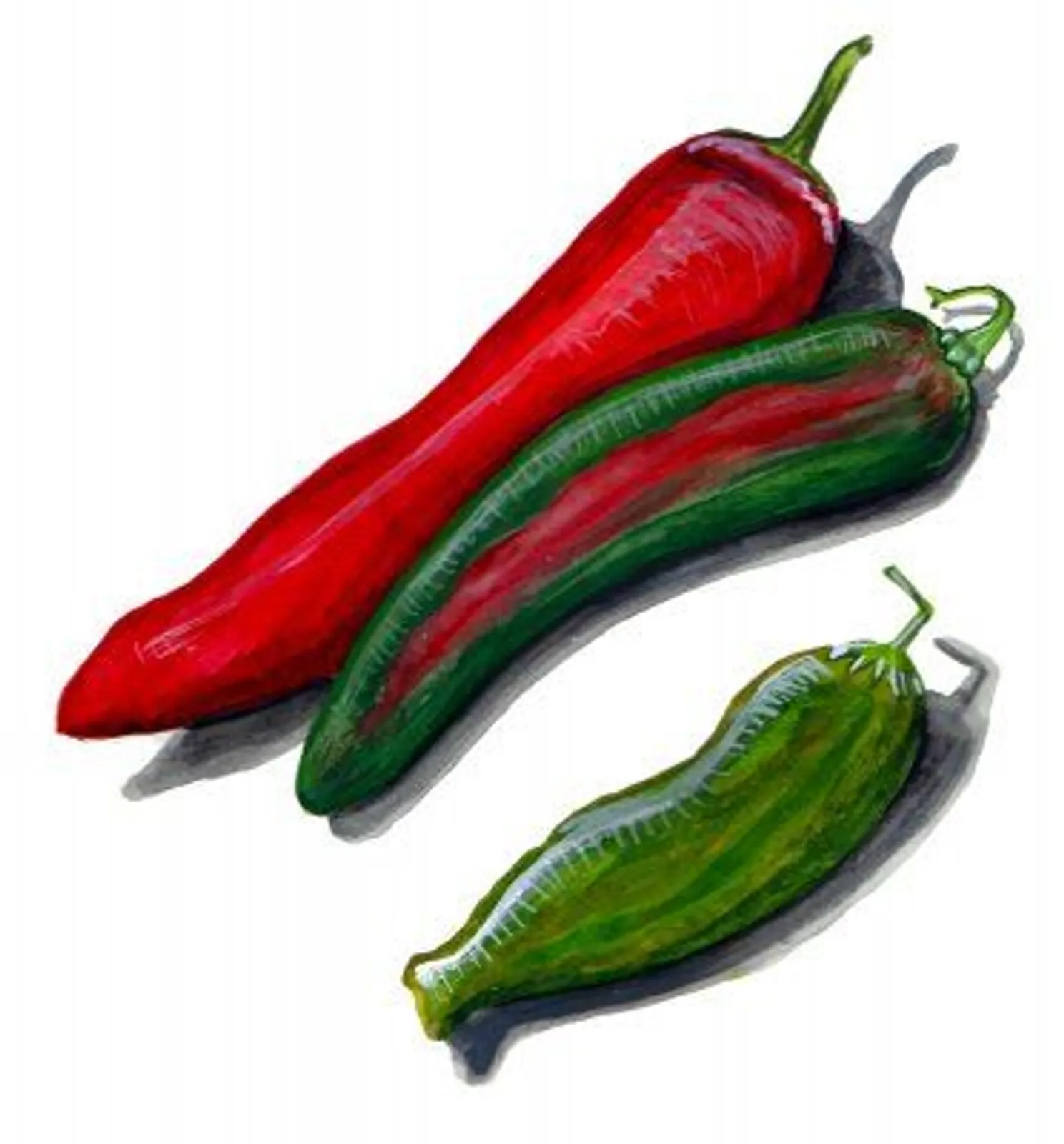 Chili 'Anaheim', Frö