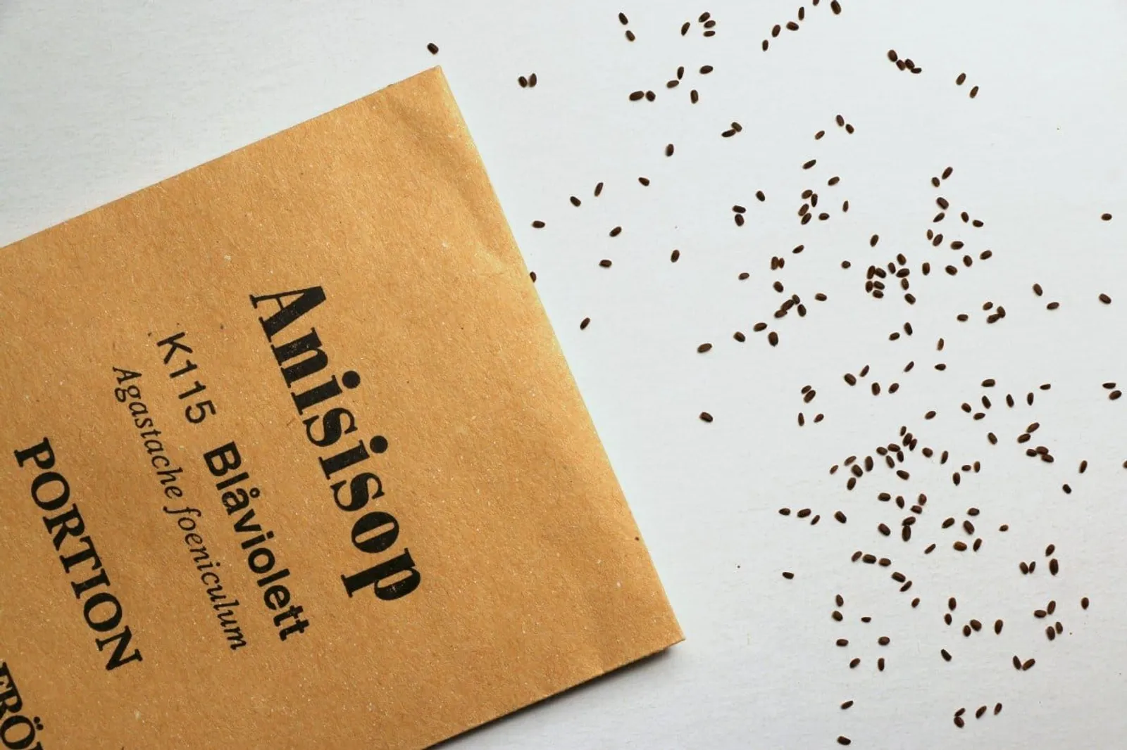 Anisisop, blåviolett anisisop frö med blå anisisopblommor