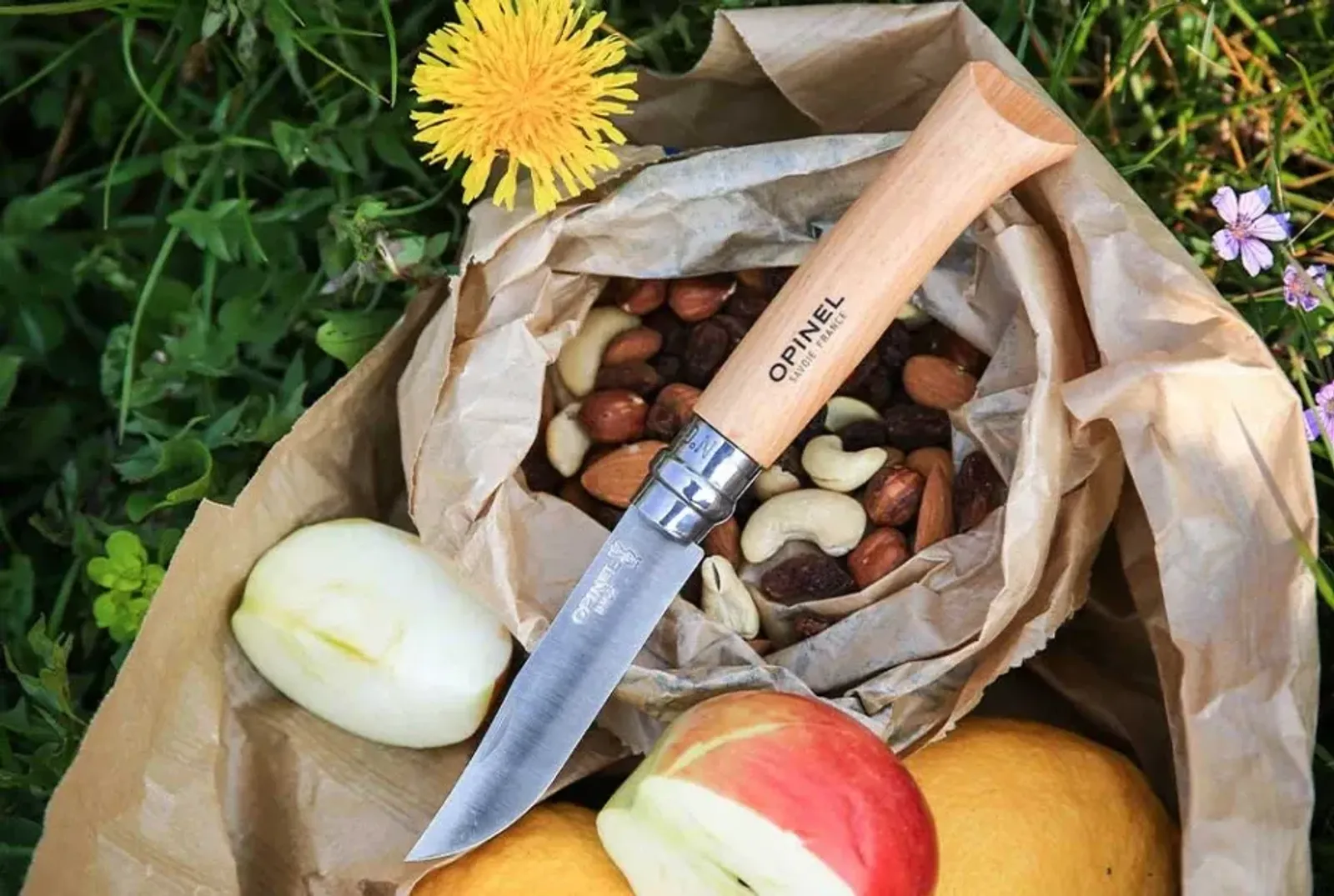 Opinel N08 Inox kniv med trähandtag omgiven av nötter, äpplen och blommor i naturlig miljö