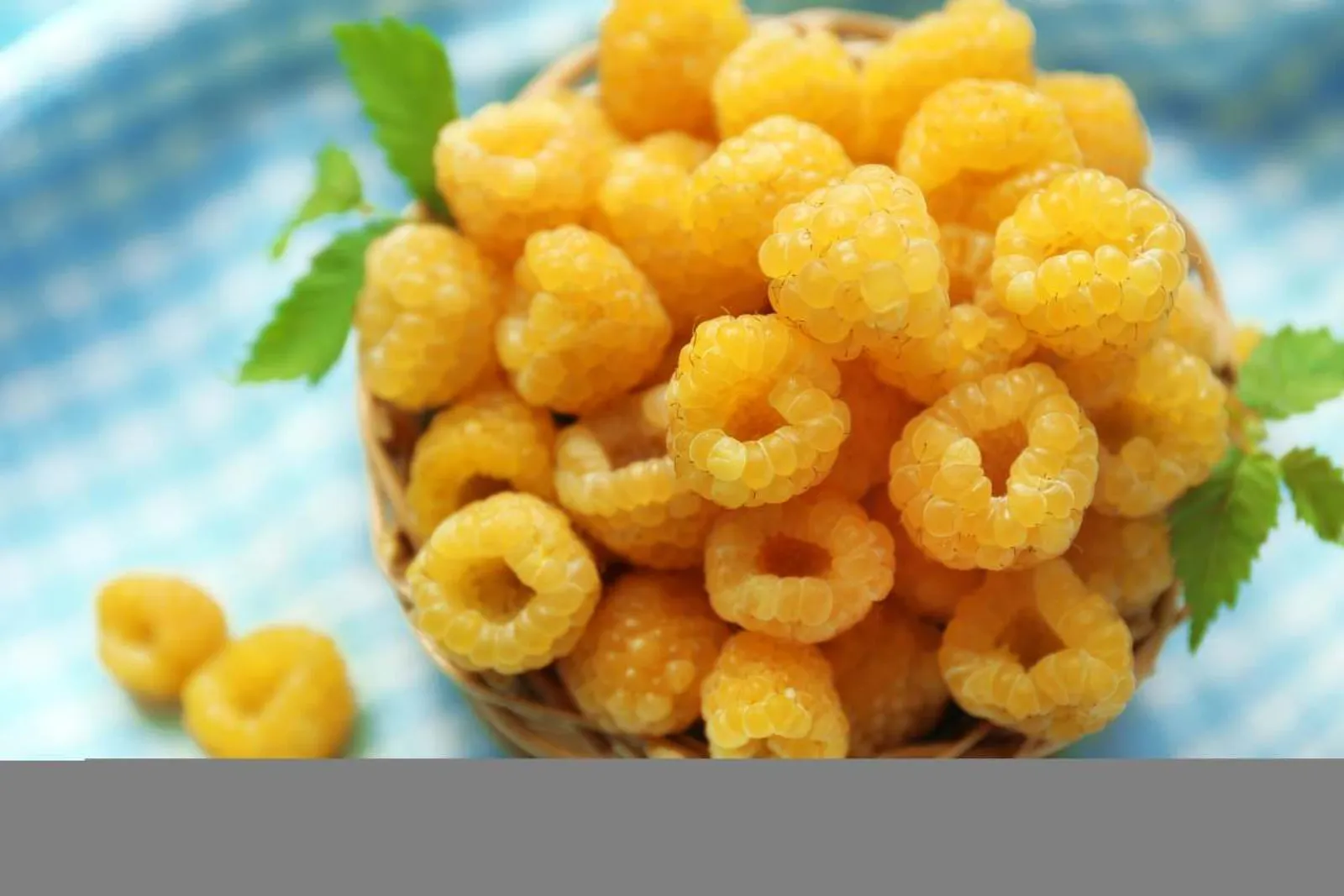 Hösthallon ''Fallgold'', 10-pack — närbild