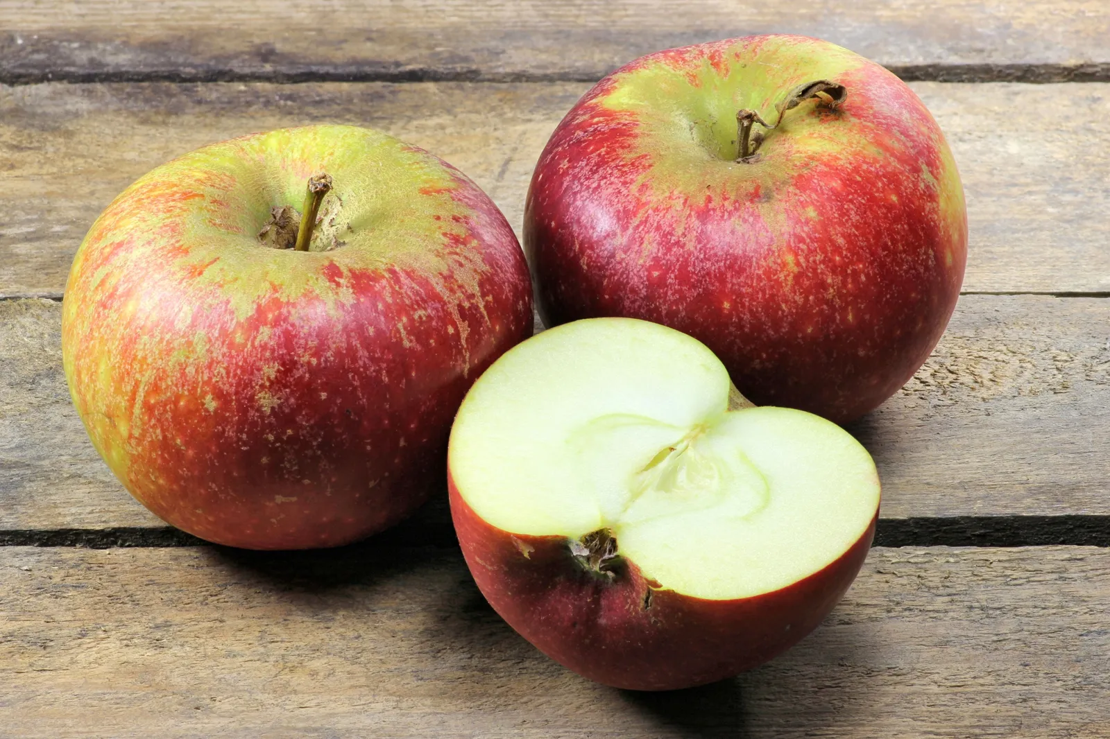 Äpple 'Ingrid Marie' E, svagväxande, B9 - miniatyr 2