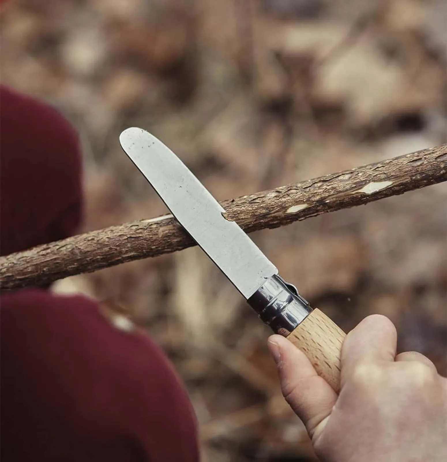 Opinel fällkniv med trähandtag klipper kvist i naturlig utomhusmiljö - rostfritt stål blad synligt