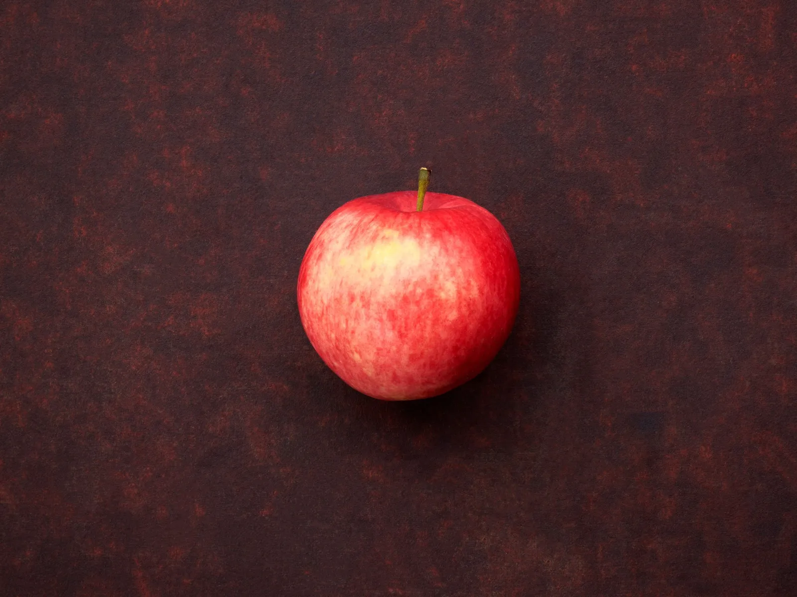 Äpple 'Mantet', inkl. uppbindnings kit - miniatyr 2