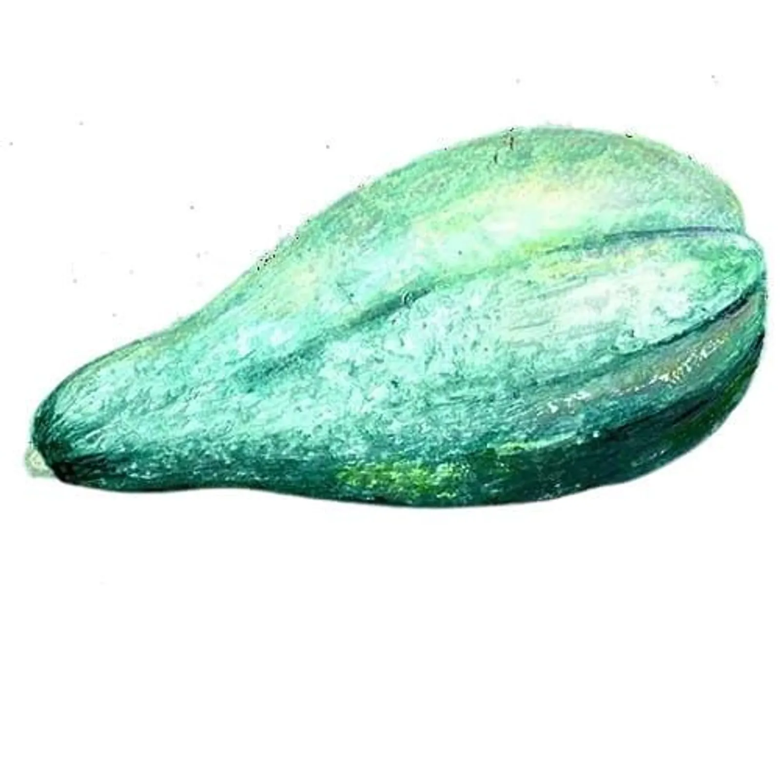 Vintersquash 'Blue Banana', Frö