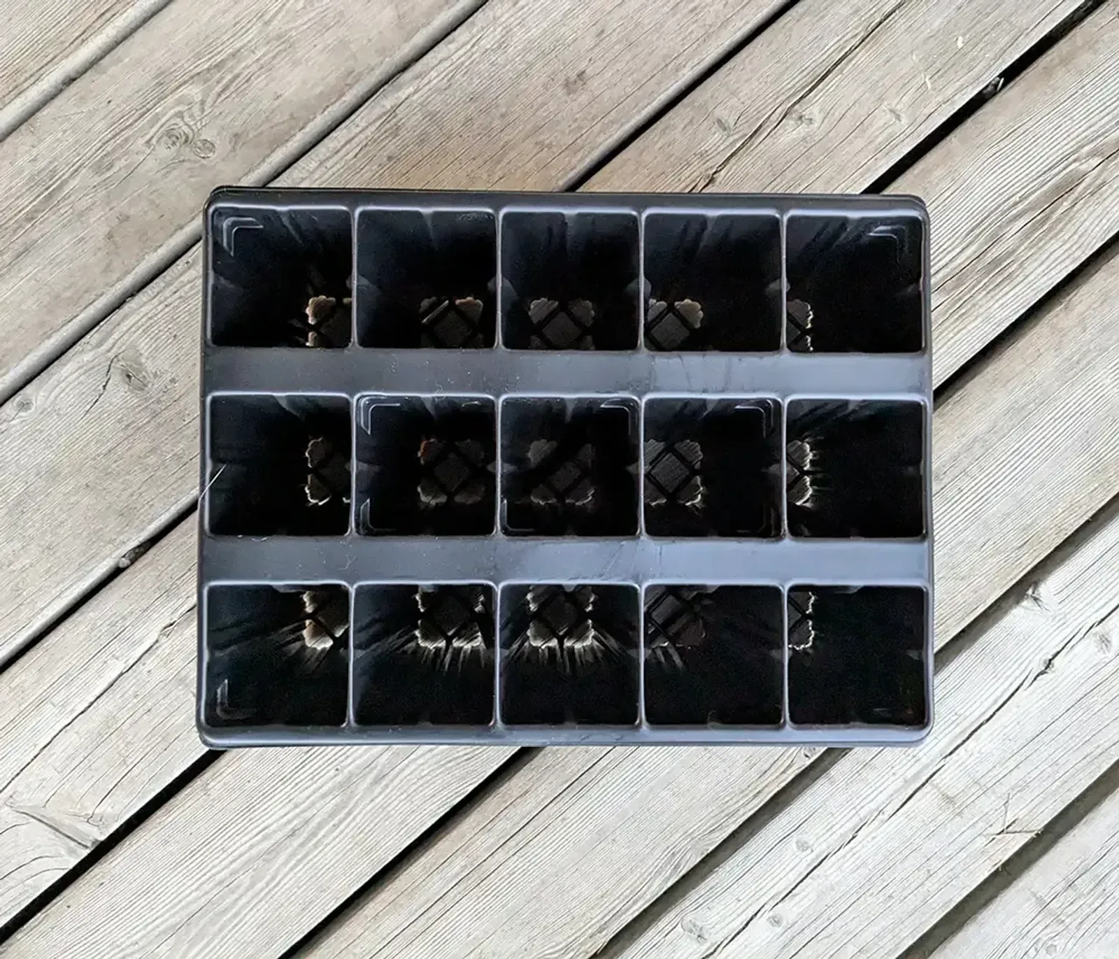 Pluggbrätte Quickpot 15 T/15 (15 celler) — närbild