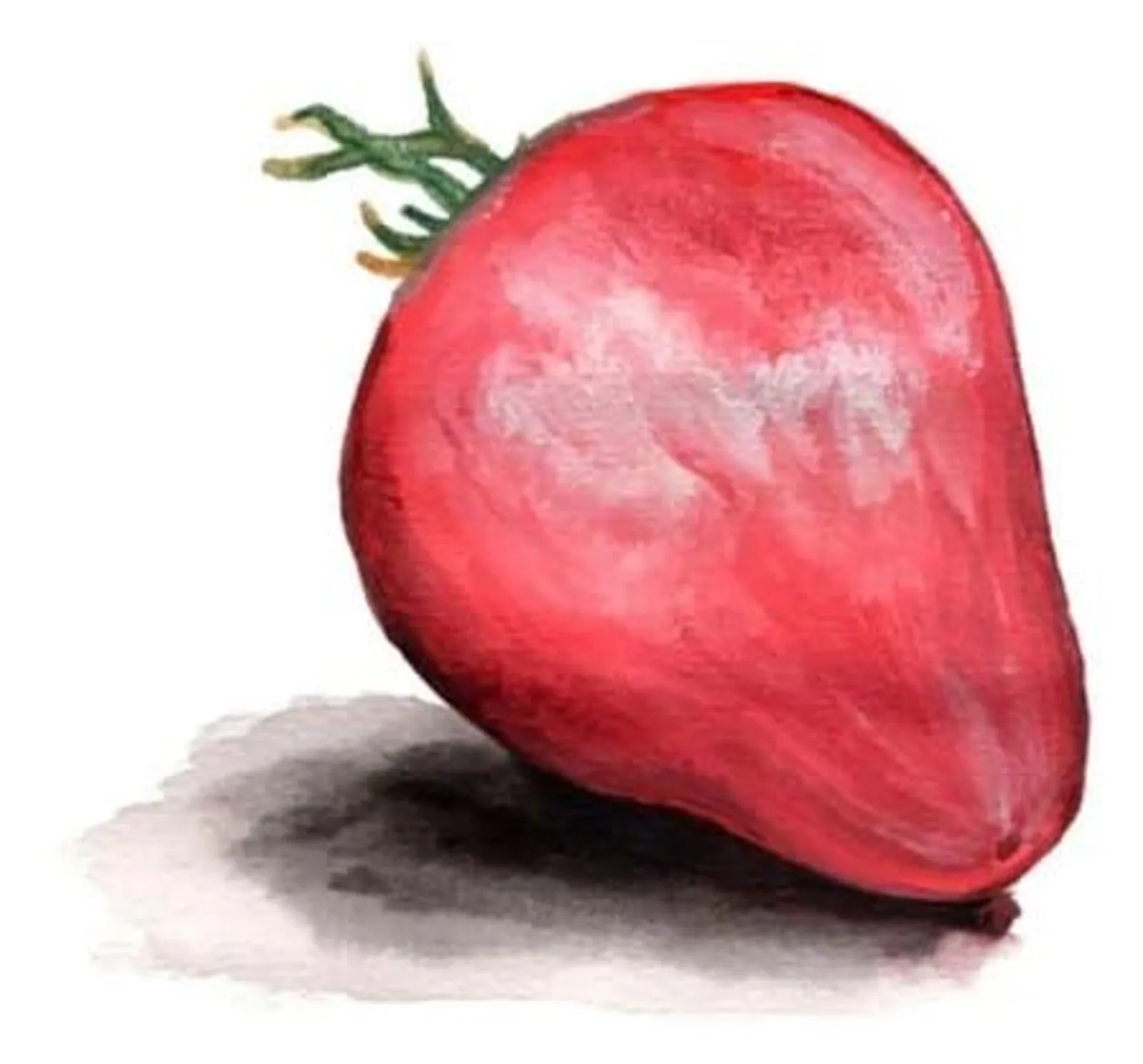 Tomat 'Pink Passion', Frö