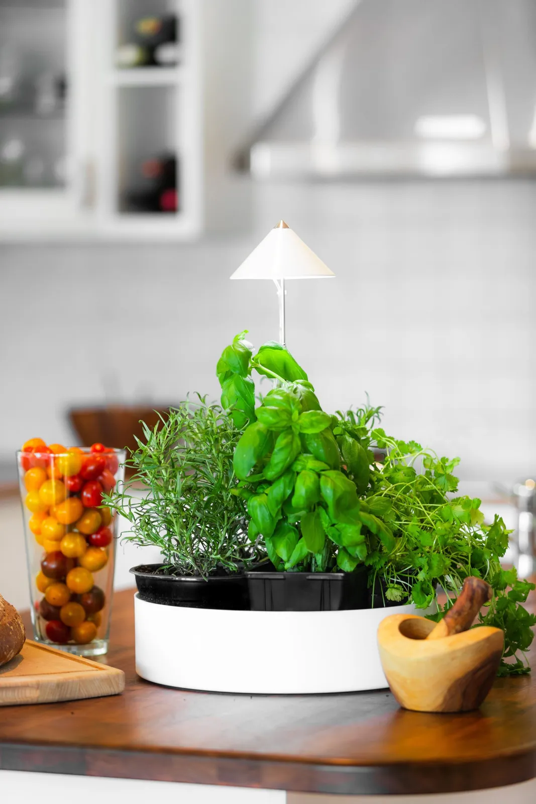 Växtlampa Venso MiniHerb L 310mm