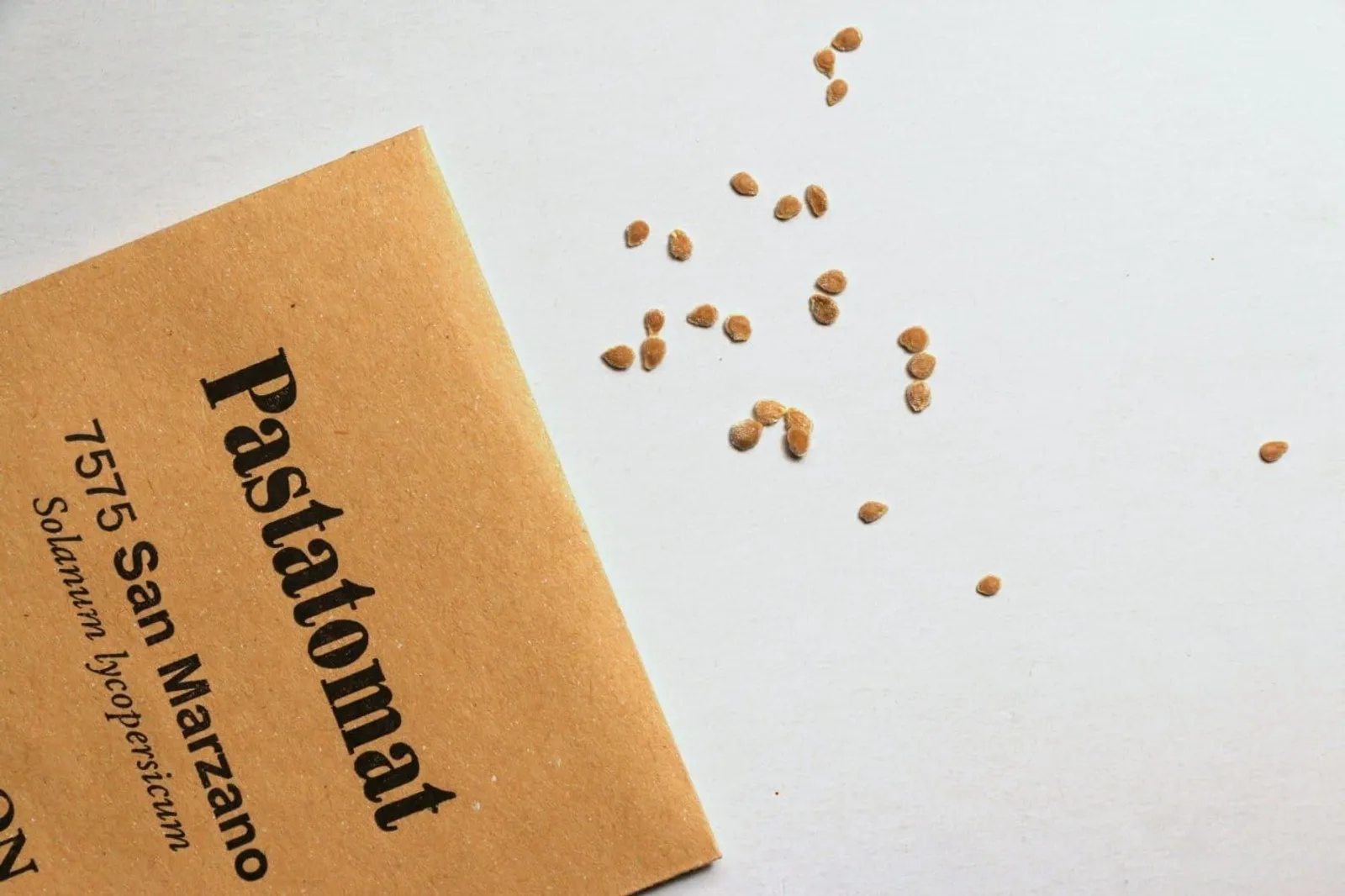 Plommontomat San Marzano ekofrö — röda plommontomater