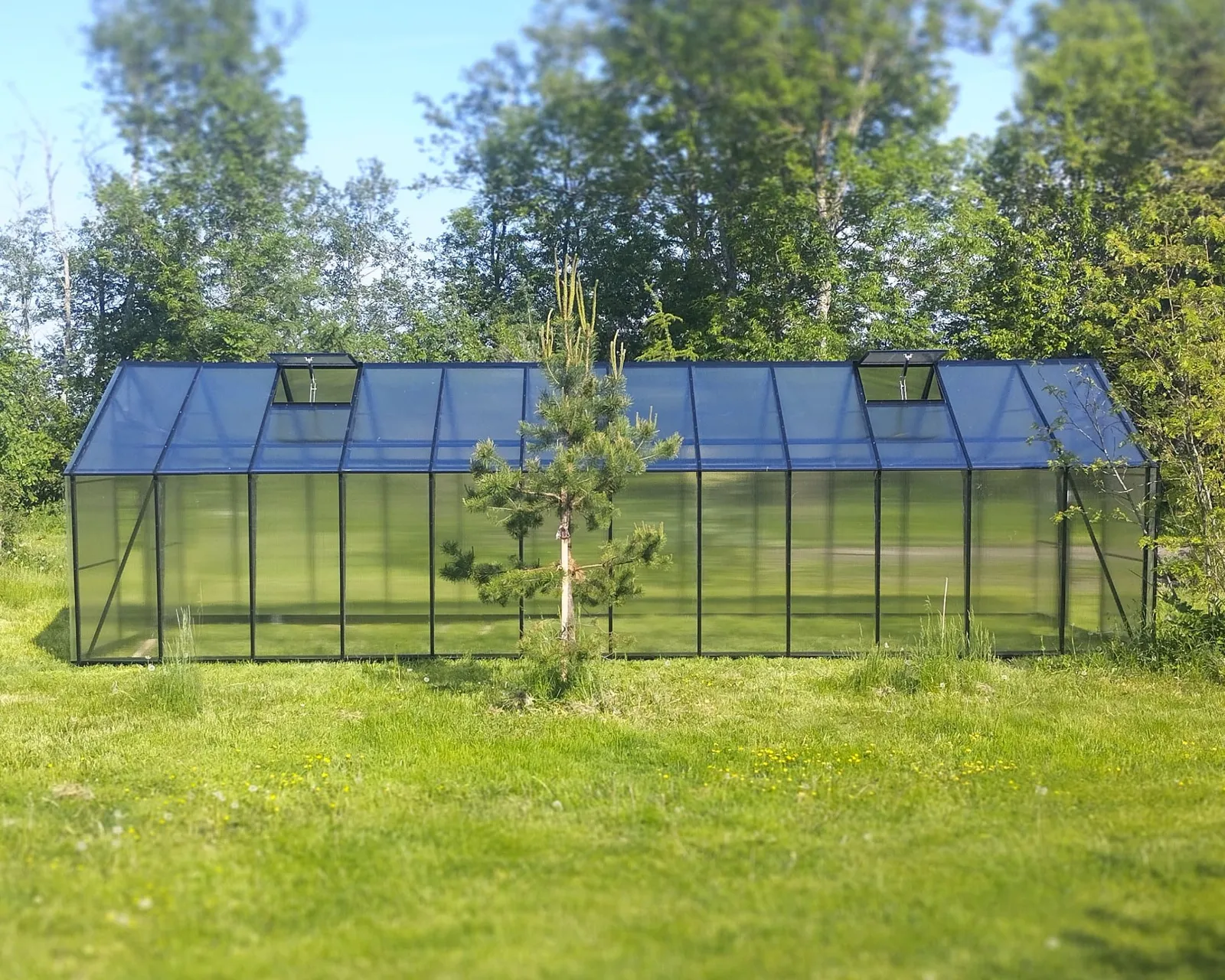 Växthus EcoSlider Lux 2,0 - 16,6 m² - svart stål - miniatyr 9