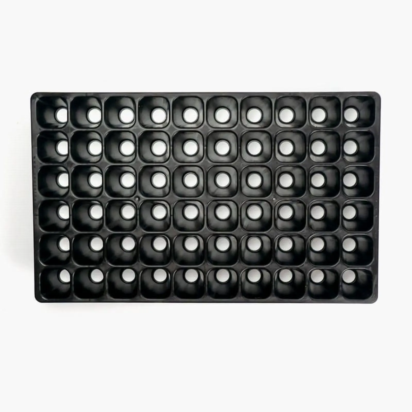 Pluggbrätte Containerwise Charles Dowding CD60 (60 celler) — detalj 2