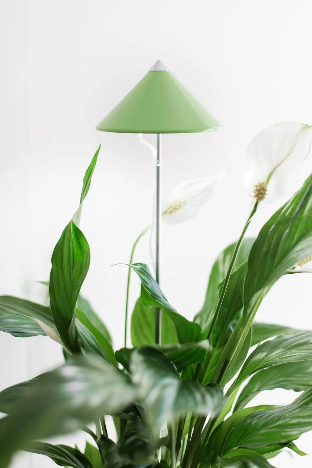 Växtlampa Venso Sunlite Limegrön 7W