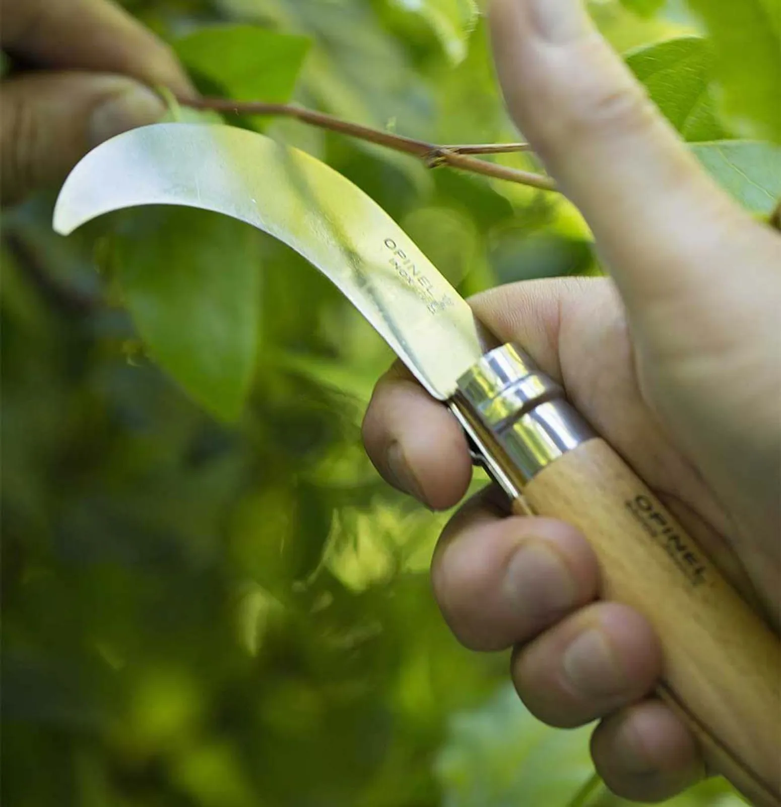 Opinel N10 beskärningskniv med böjt rostfritt stål blad och trähandtag skär genom grön vegetation