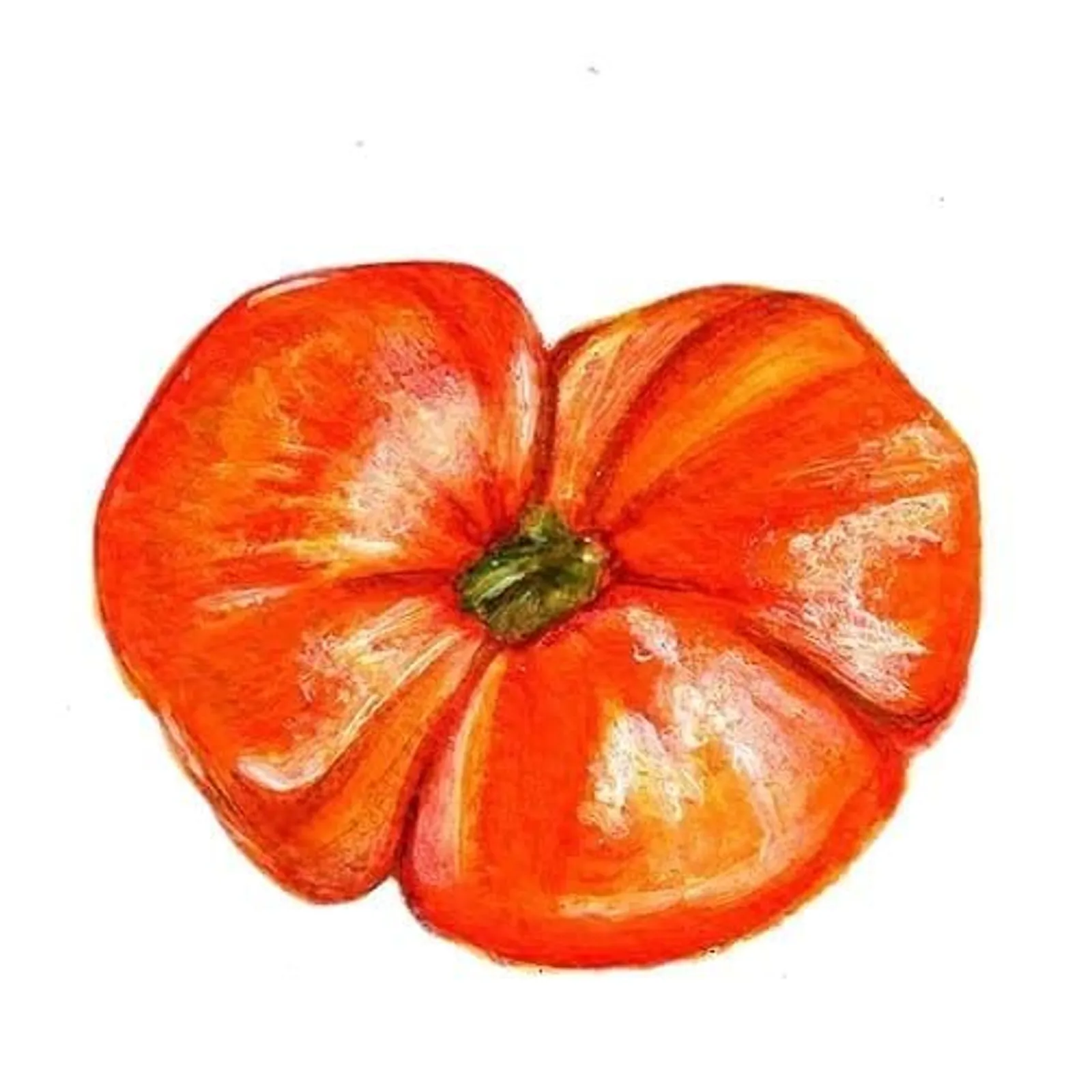Dwarftomat 'Cherokee Tiger Lage Red', Frö