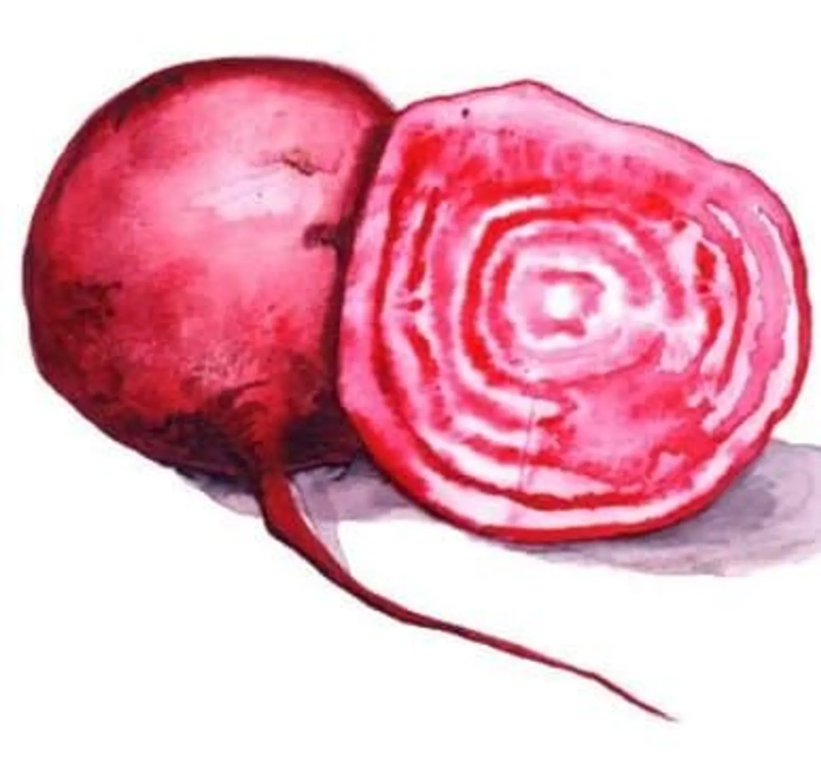 Polkabeta 'Chioggia', Frö