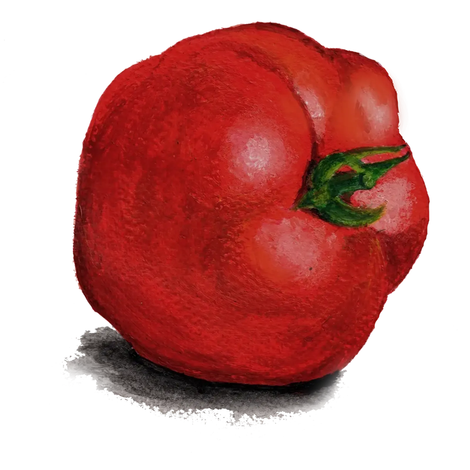 Tomat 'Odessa', Frö