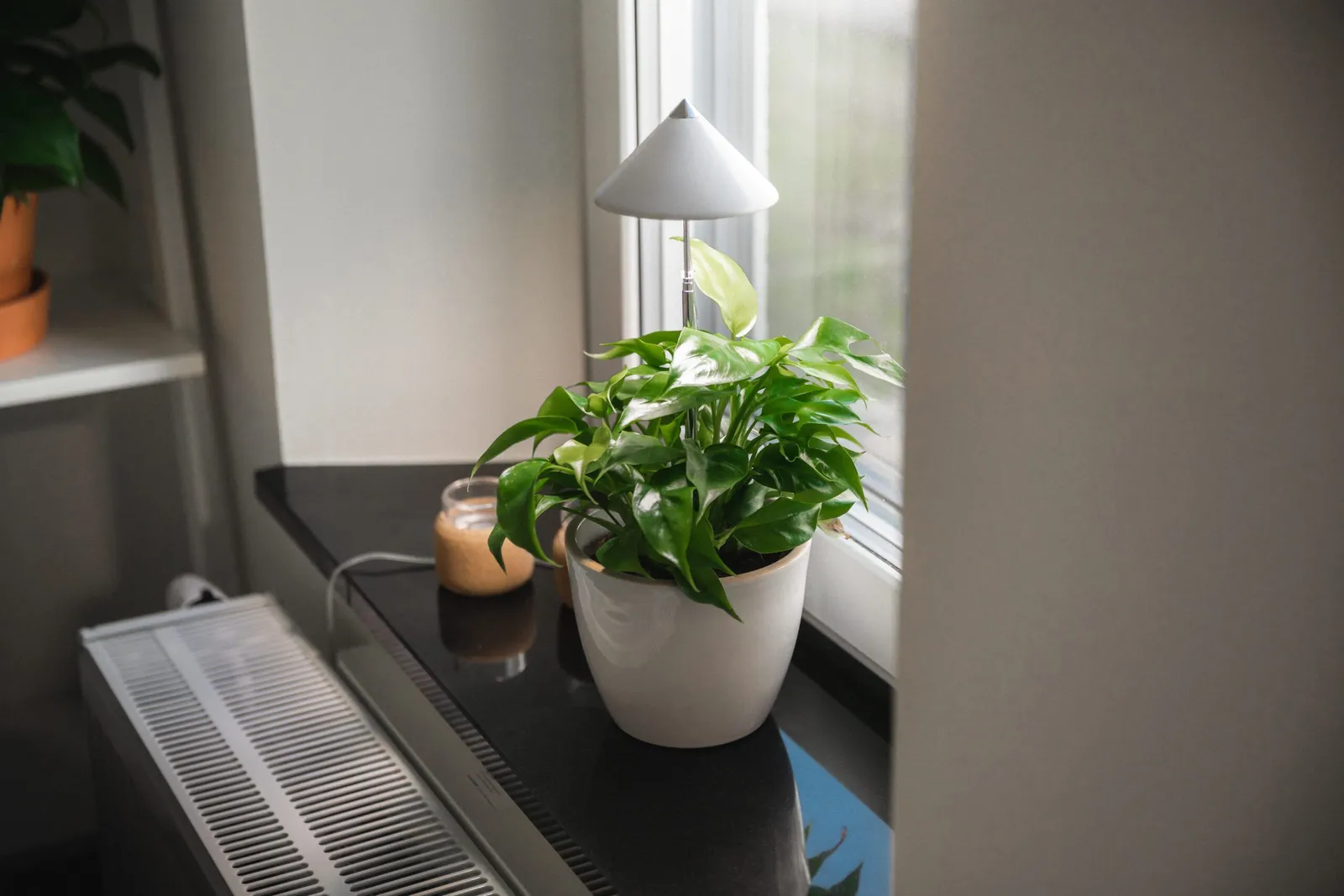 Växtlampa Venso Sunlite Vit 7W