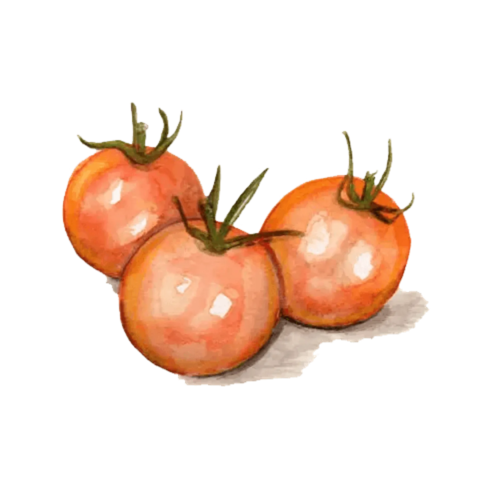 Körsbärstomat 'Goldiana', Frö