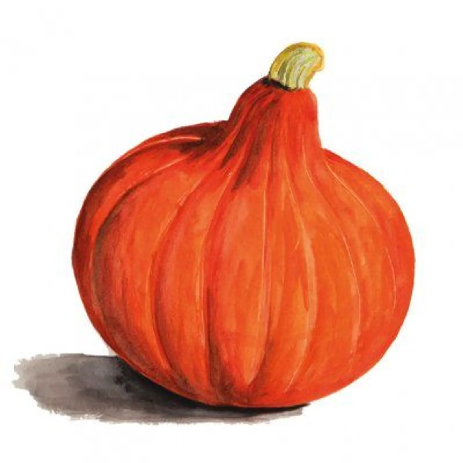 Vintersquash