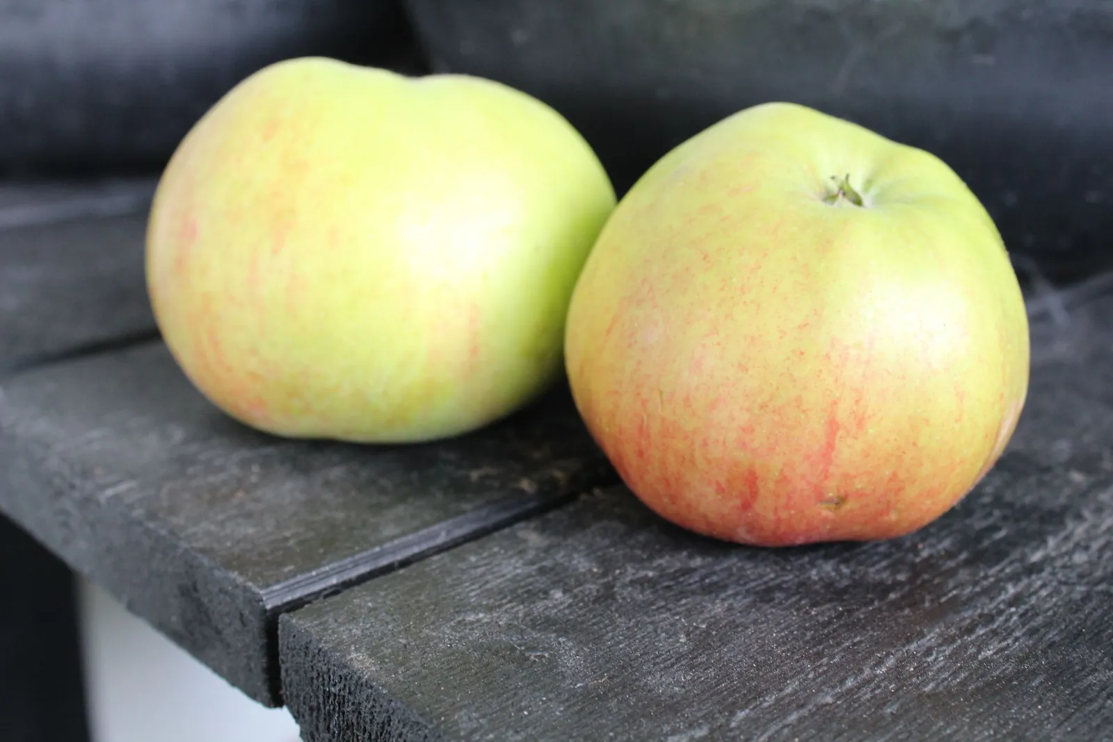 Äpple FOLKE® E - miniatyr 3