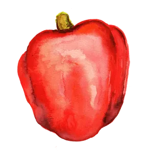 Paprika 'King of the North', Frö