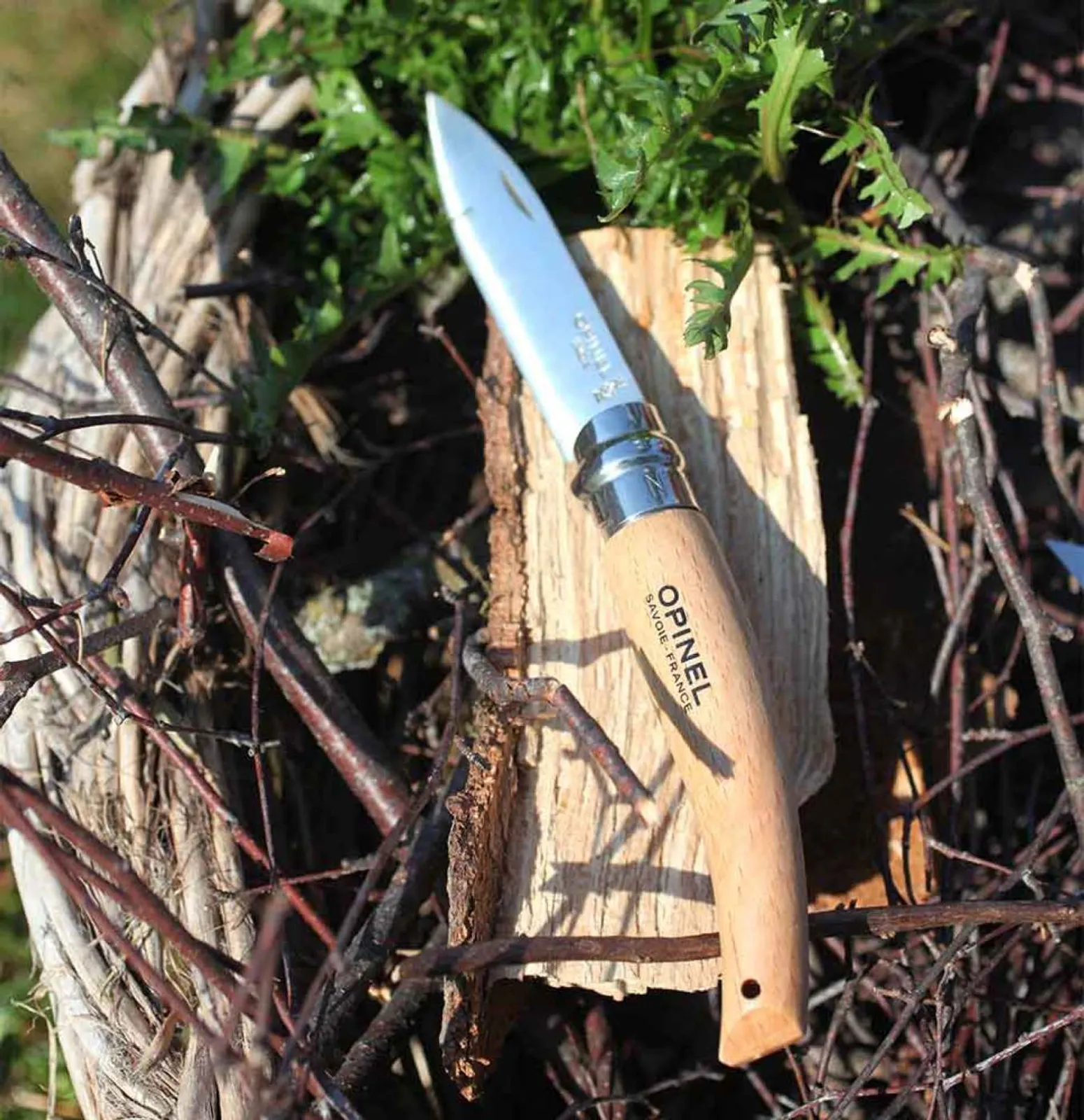 Opinel N08 trädgårdskniv med trähandtag och rostfritt stål blad på träunderlag omgiven av grönska