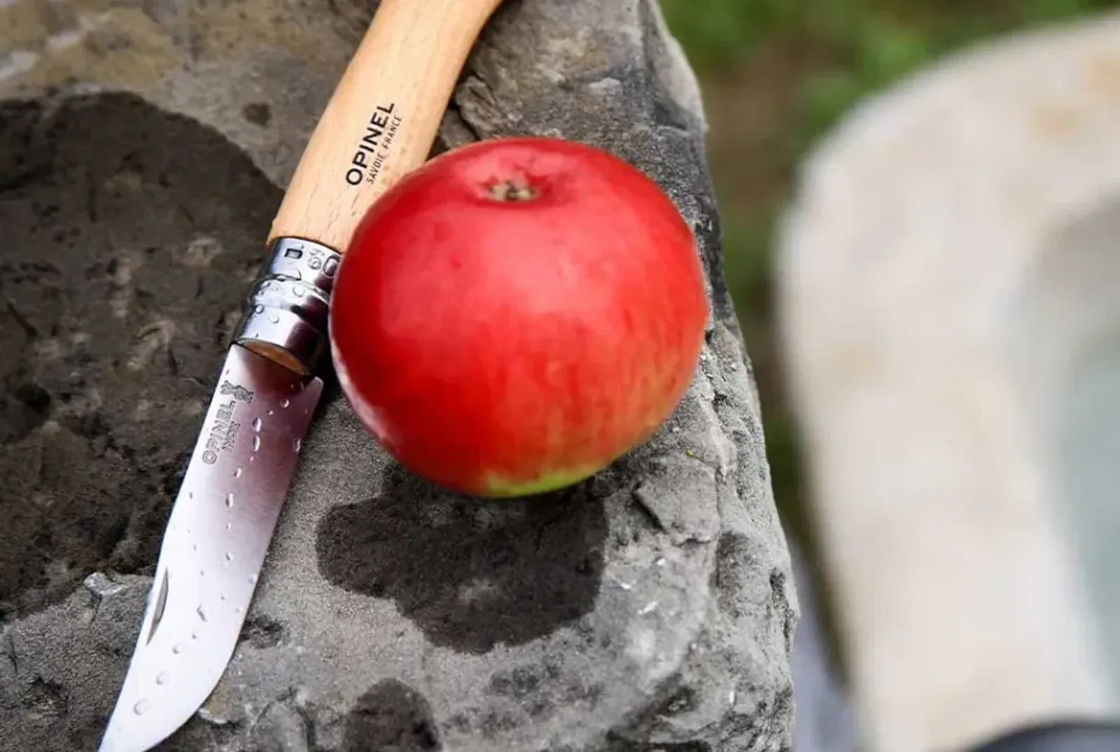 Opinel N09 kniv med trähandtag bredvid ett rött äpple på stenyta - visar praktisk utomhusanvändning