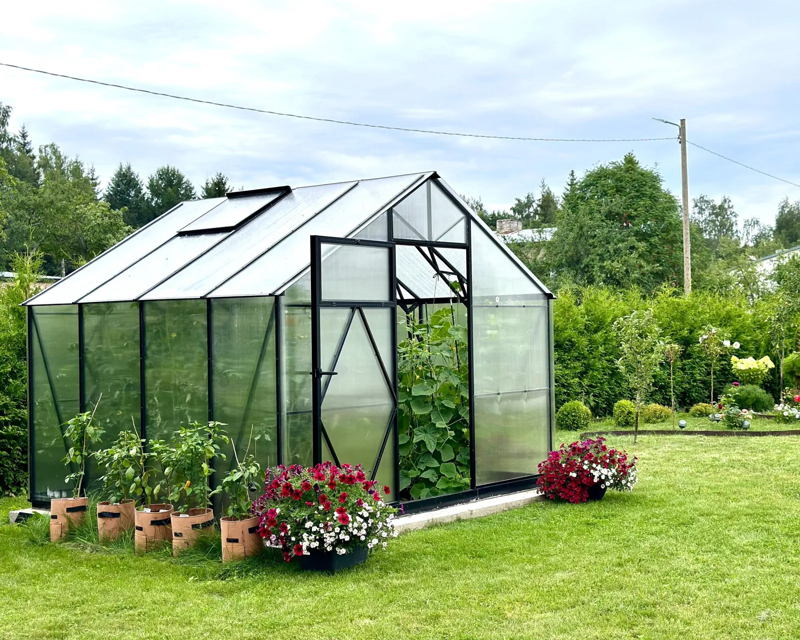 EcoSlider Lux 2,5 10,25 m² invändigt med plantor och odlingar