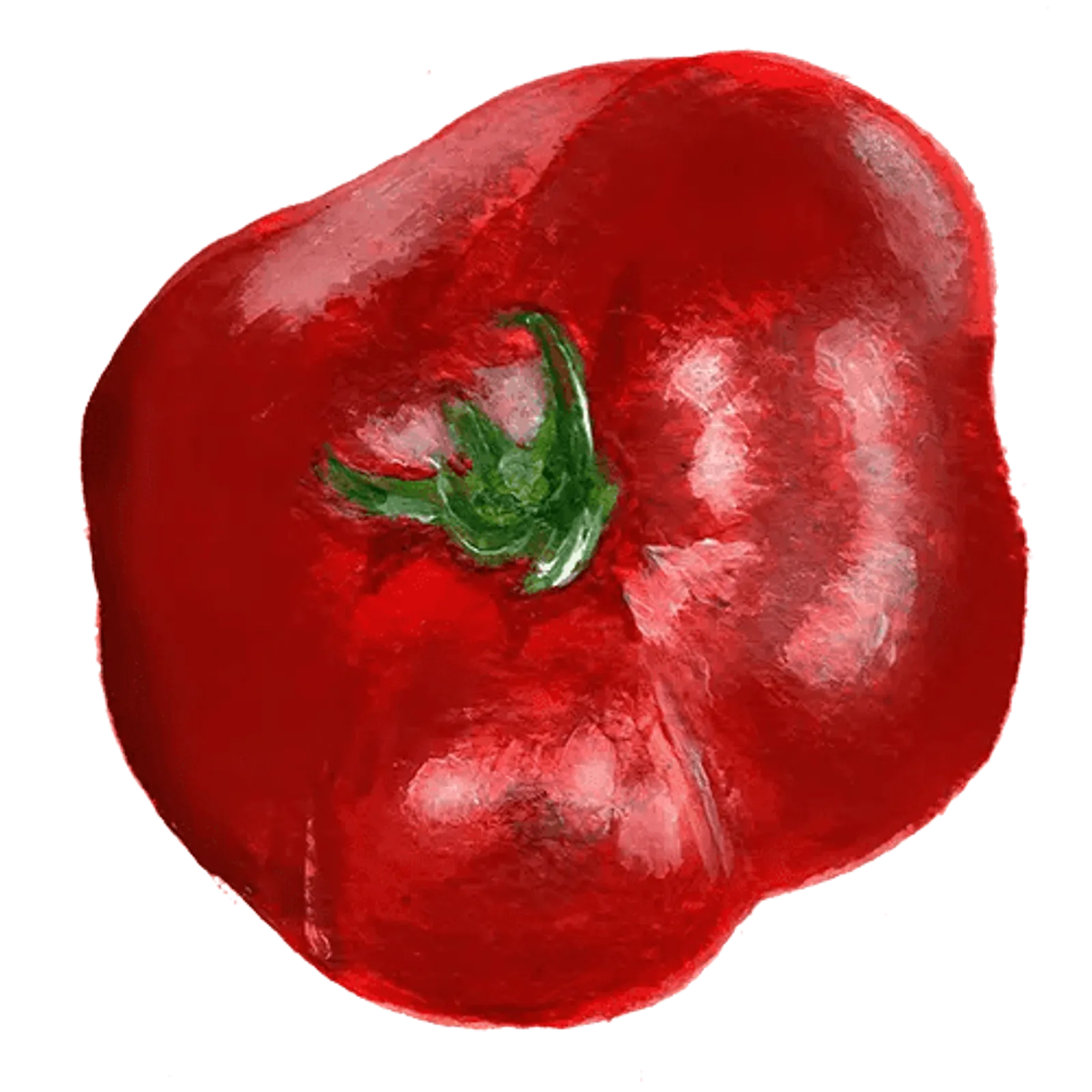 Tomat 'Sasha Altai', Frö