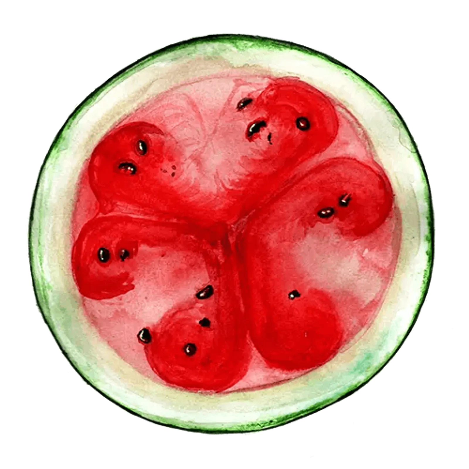 Melon 'Blacktail Mountain', Frö