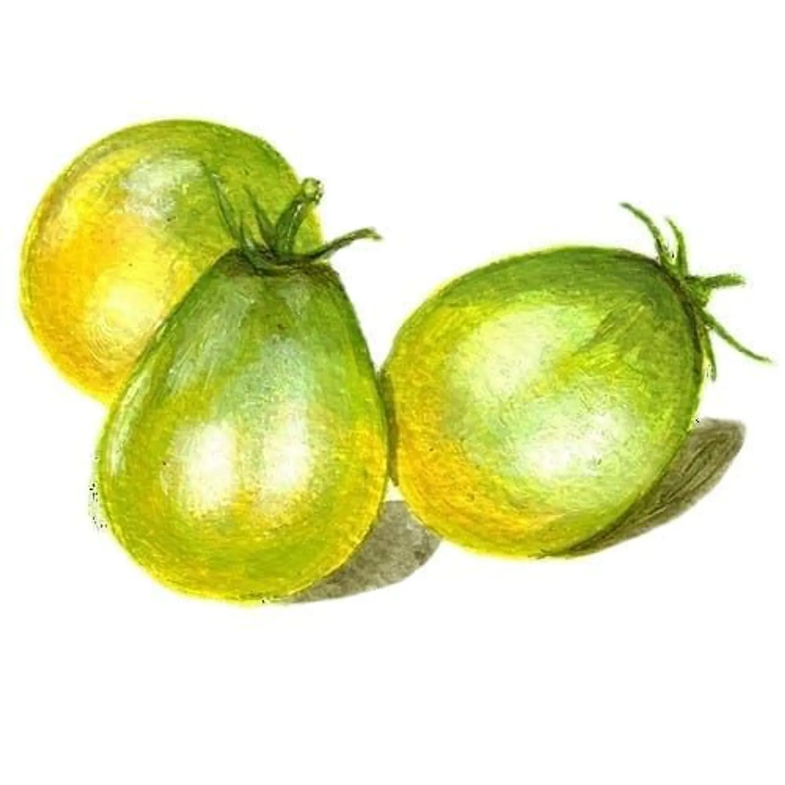 Dwarftomat 'Grinch Cherry', Frö