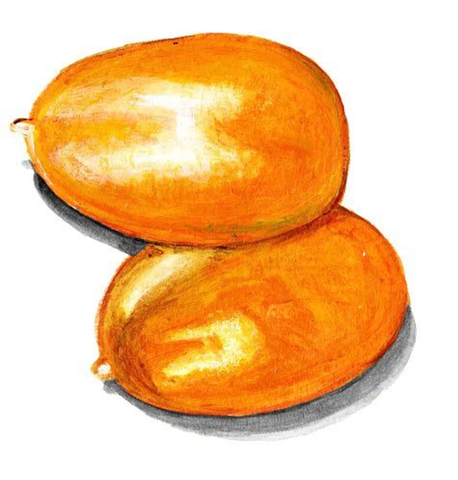 Tomat 'Tjuchloma', Frö