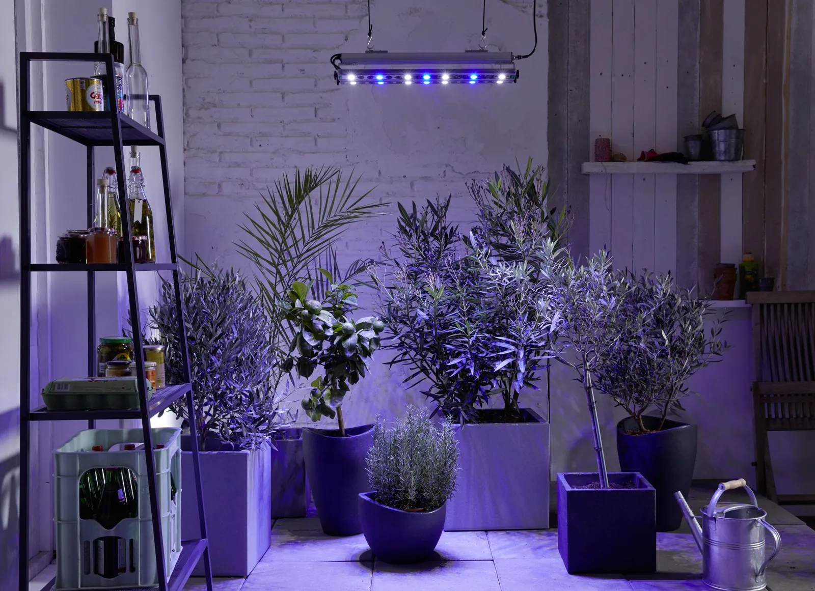 Växtarmatur Venso Growlight Quattro 2st rader 60W