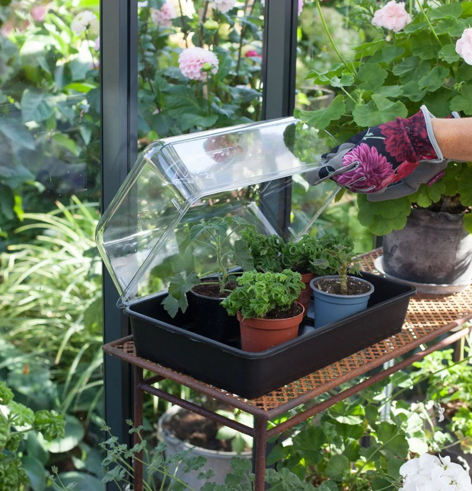 Lock till Sålåda Stewart Hårdplast 38 cm