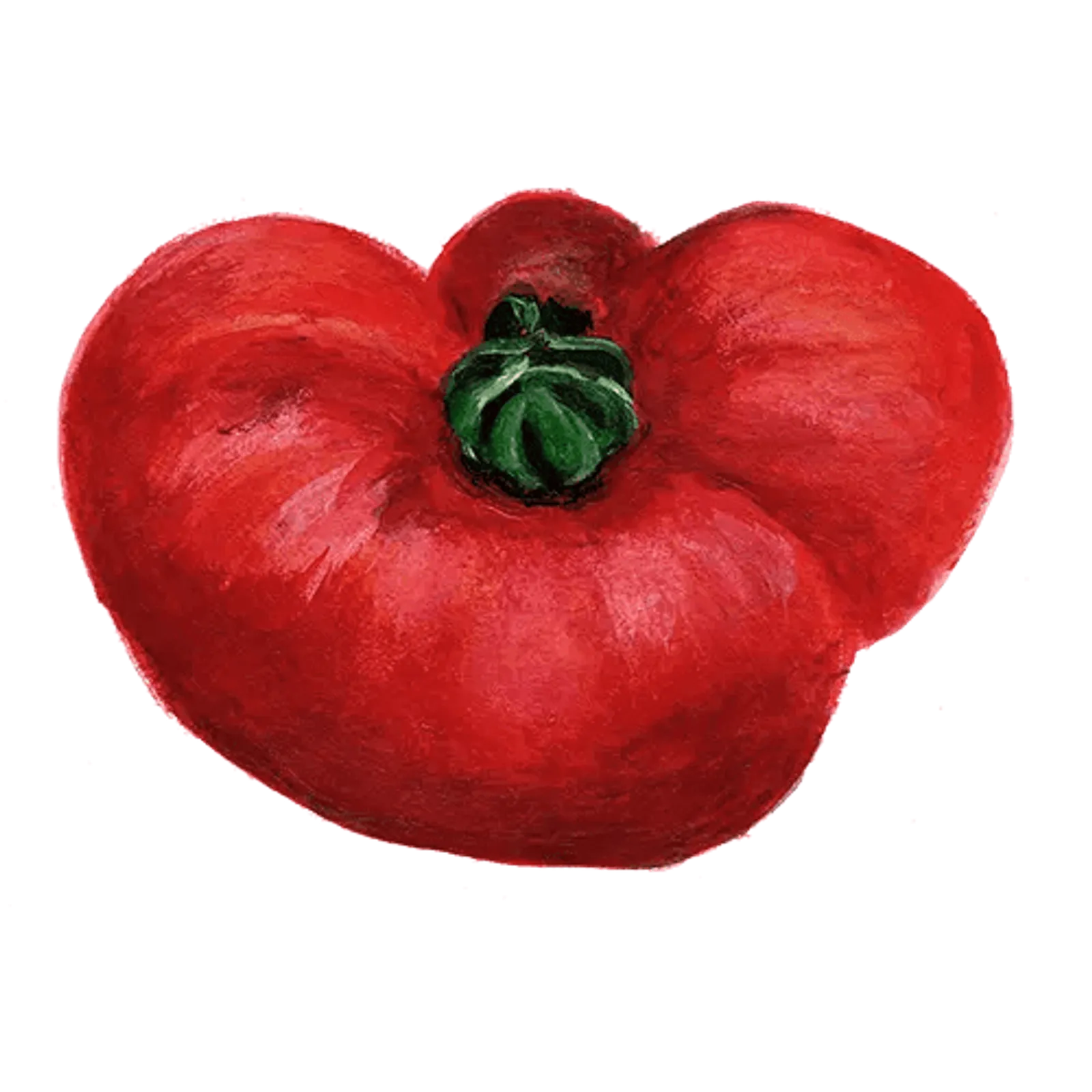 Bifftomat 'Marmande', Frö