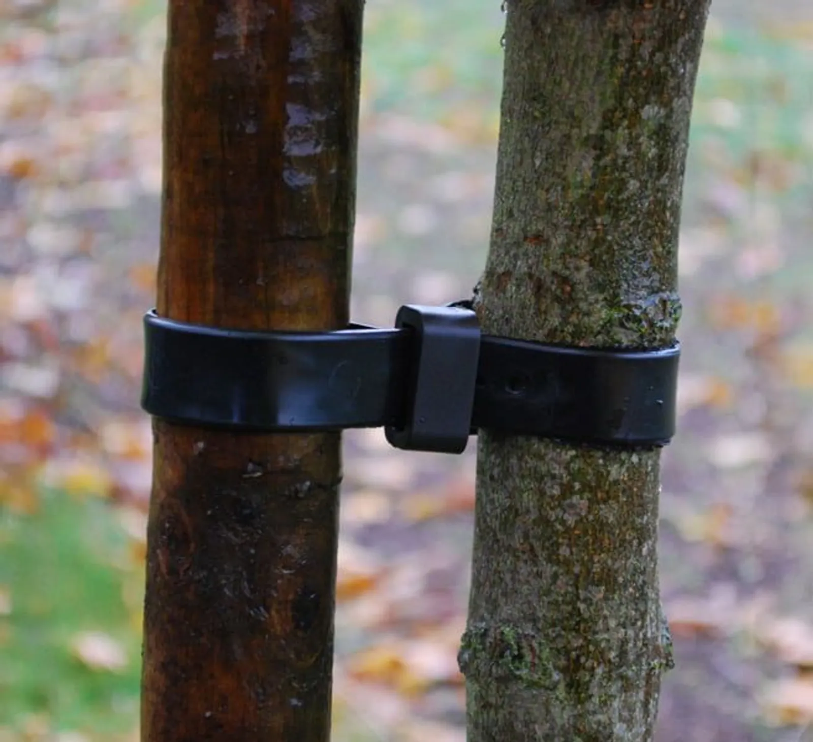 Trädband GardenMind 1st 45 x 2,5 cm