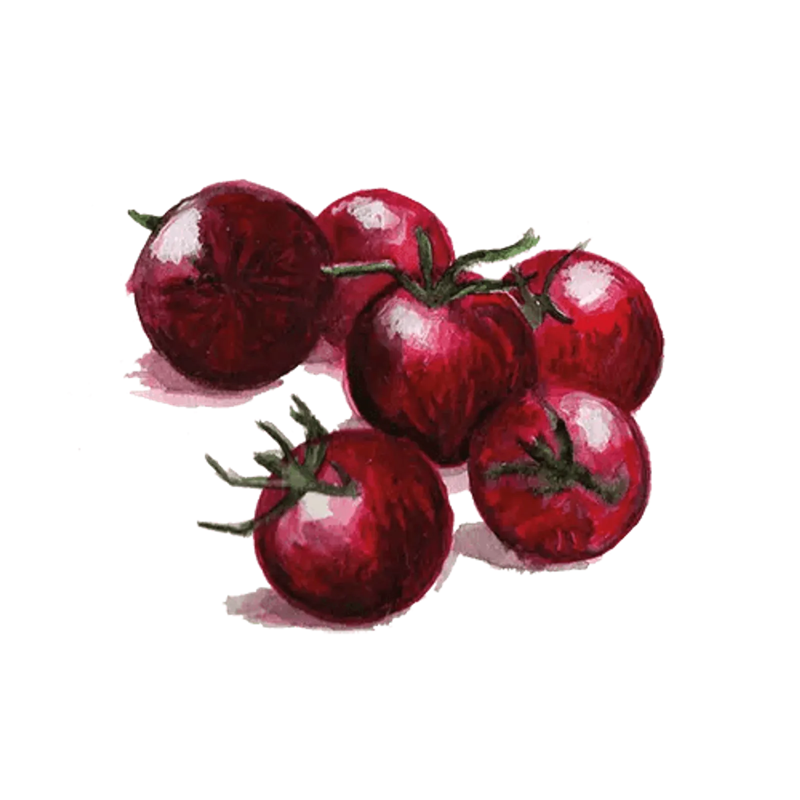 Körsbärstomat 'Black Sweet Cherry', Frö
