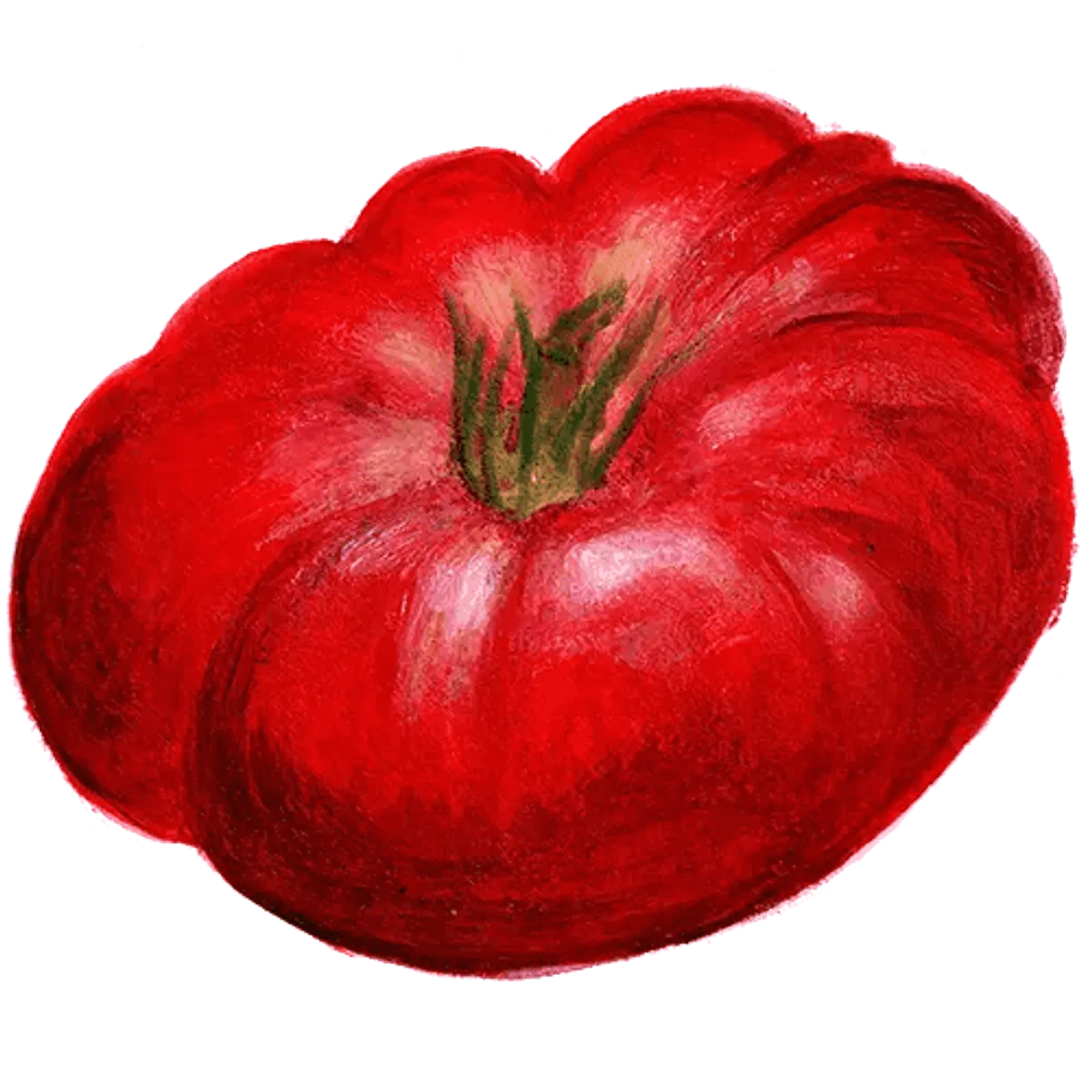 Tomat 'Brandywine', Frö