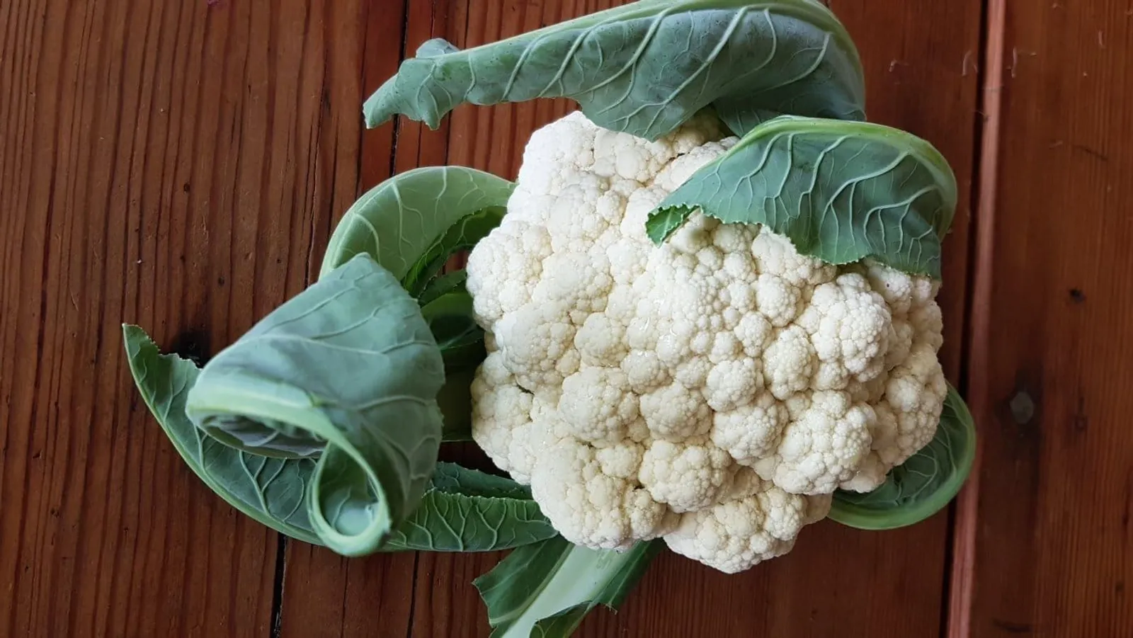 Snowball blomkål frö med vit blomkålshuvud