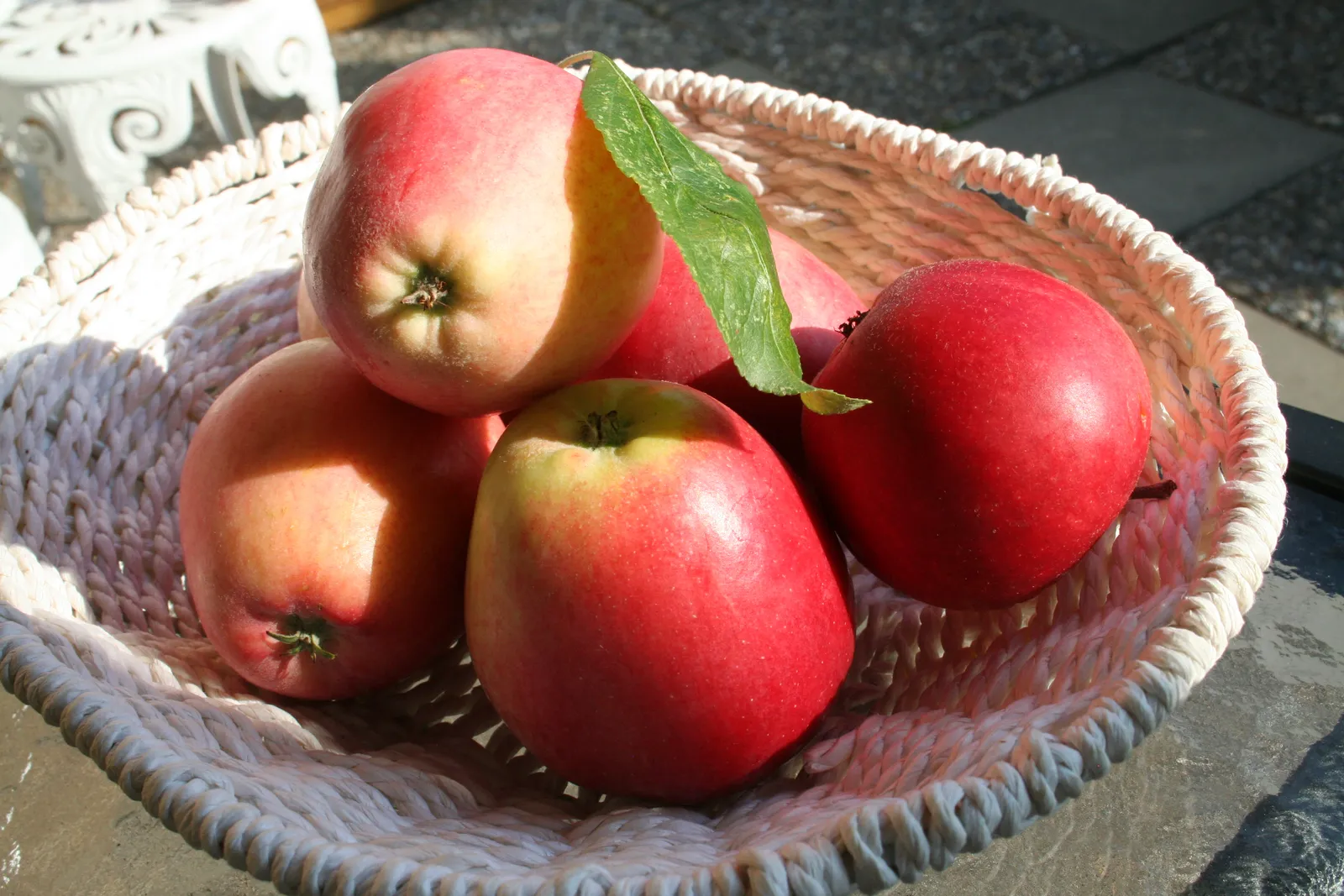 Äpple 'James Grieve' E - bild 5