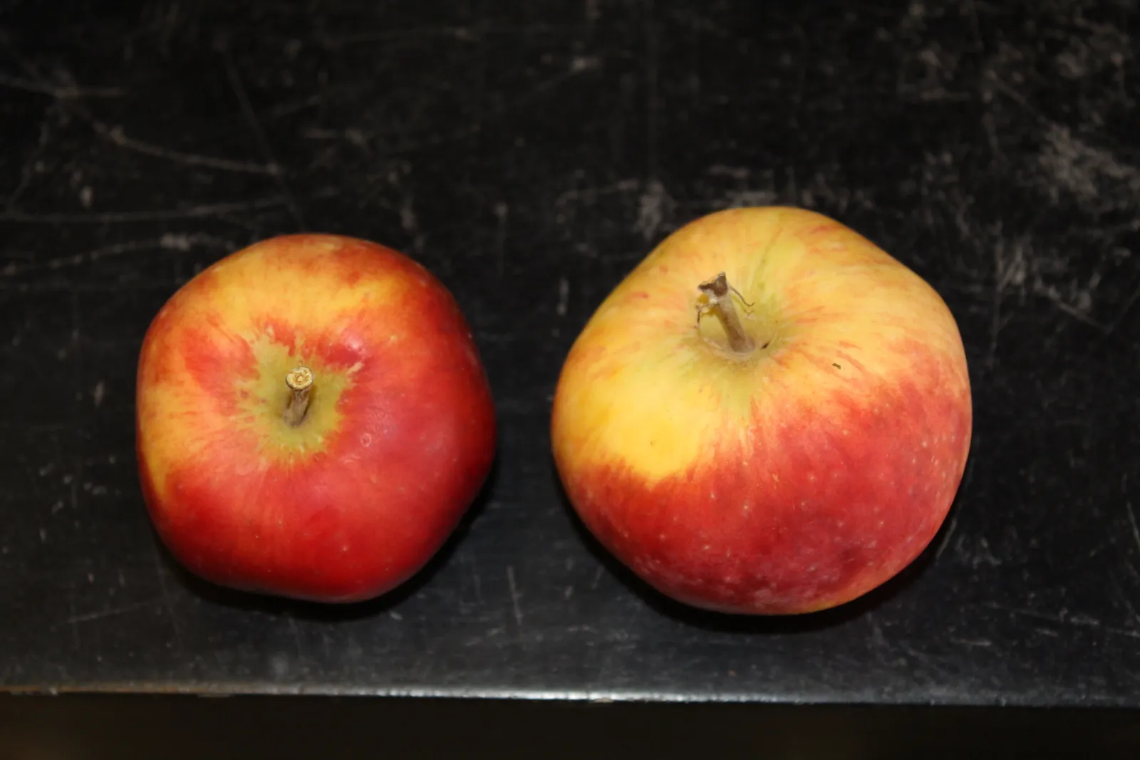 Äpple 'Alice' - bild 1
