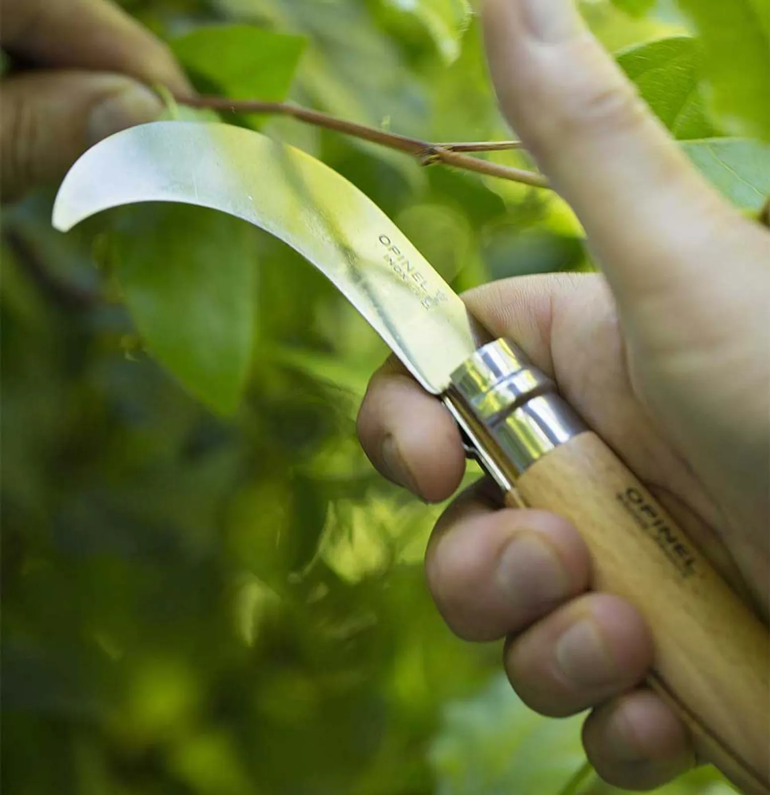 Opinel N10 beskärningskniv med böjt rostfritt stål blad och trähandtag skär genom grön vegetation