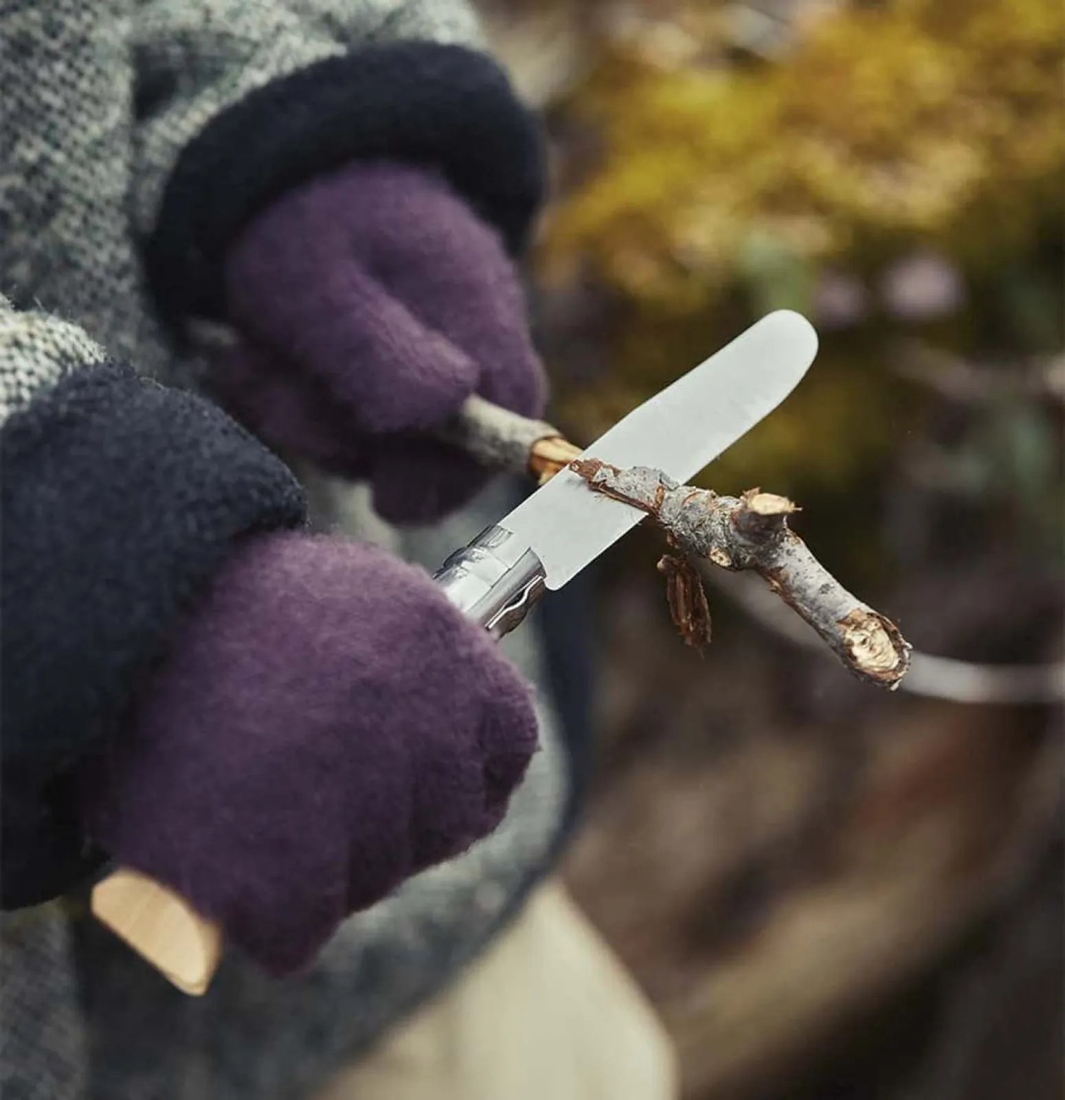Opinel fällkniv i användning klipper kvist - silver blad och trähandtag hållen med handskar för säkerhet