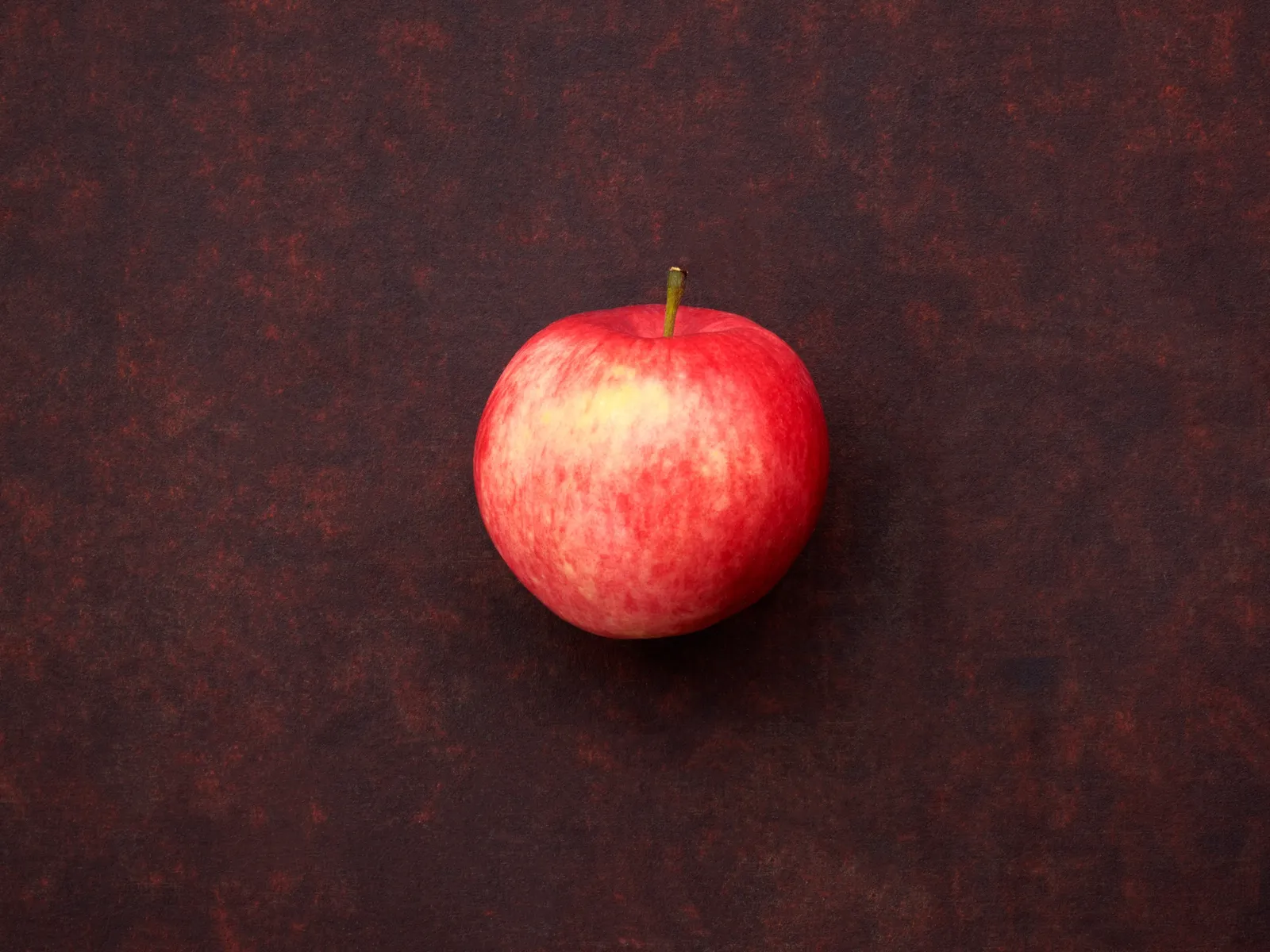 Äpple 'Mantet' - bild 2