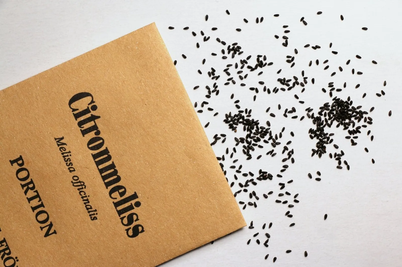 Citronmeliss citronmeliss frö med citronmelissblad